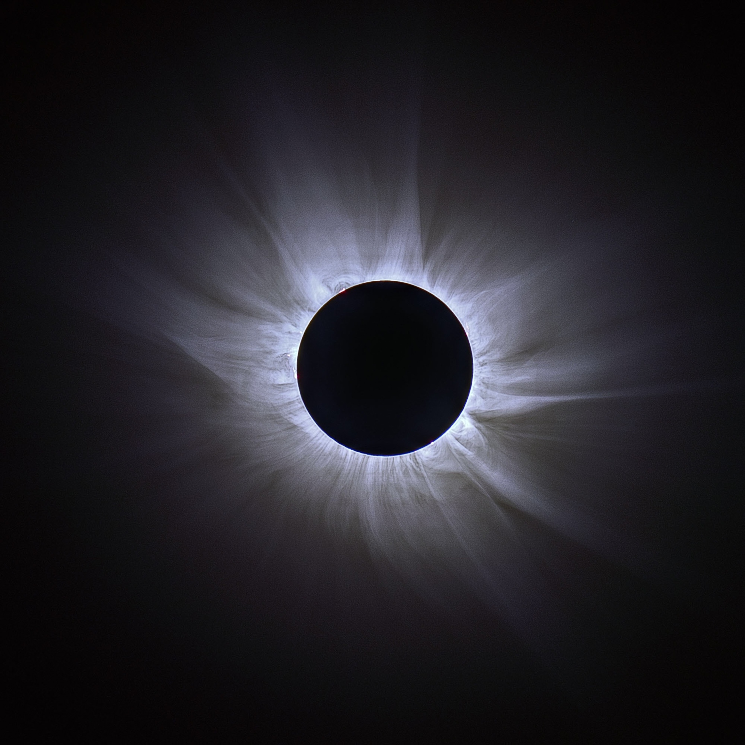 Coronal eruptions and spectra around the outline of a total solar eclipse.