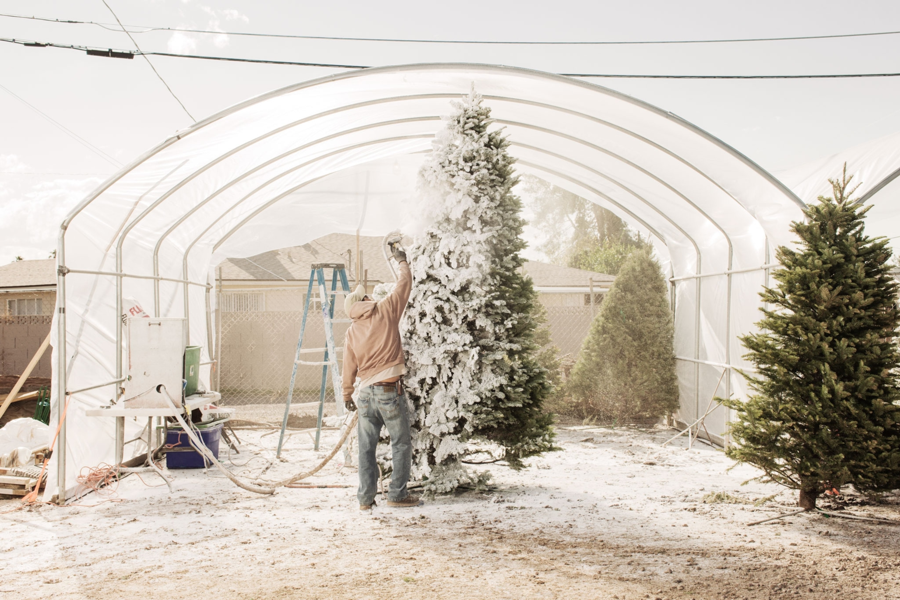 Christmas decorations