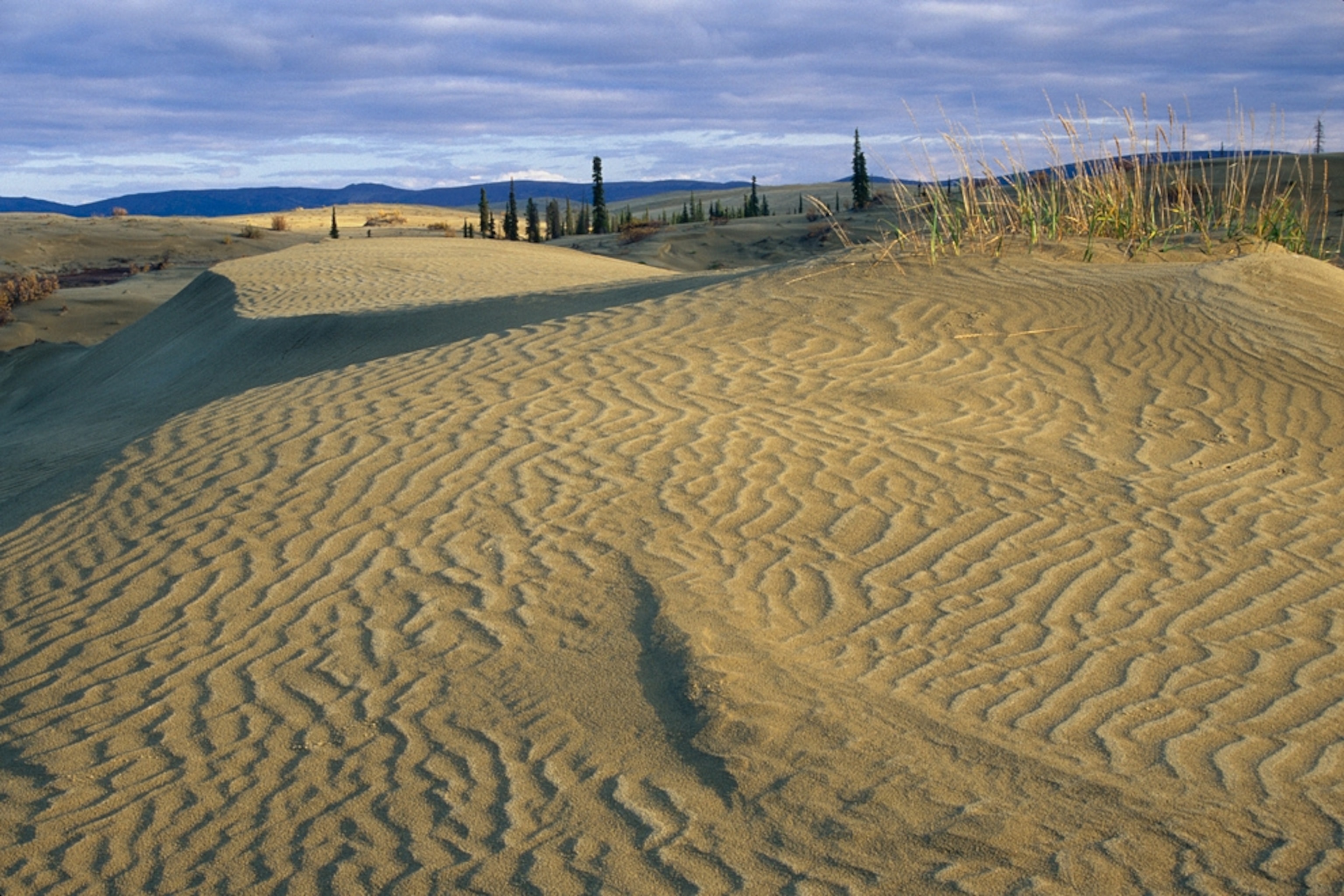 Sand dunes at Kobuk Valley National Park, Alaska.