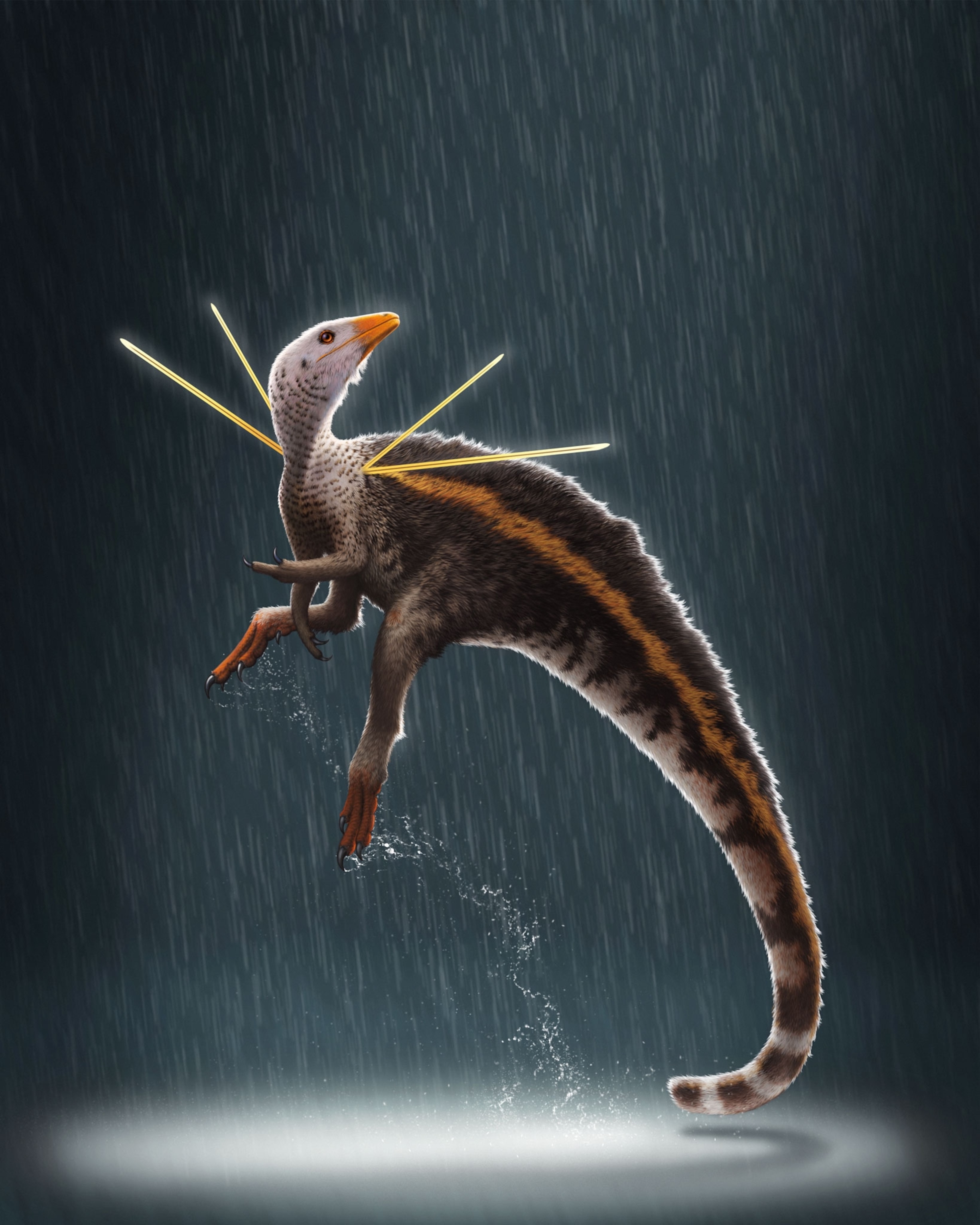 Ubirajara jubatus