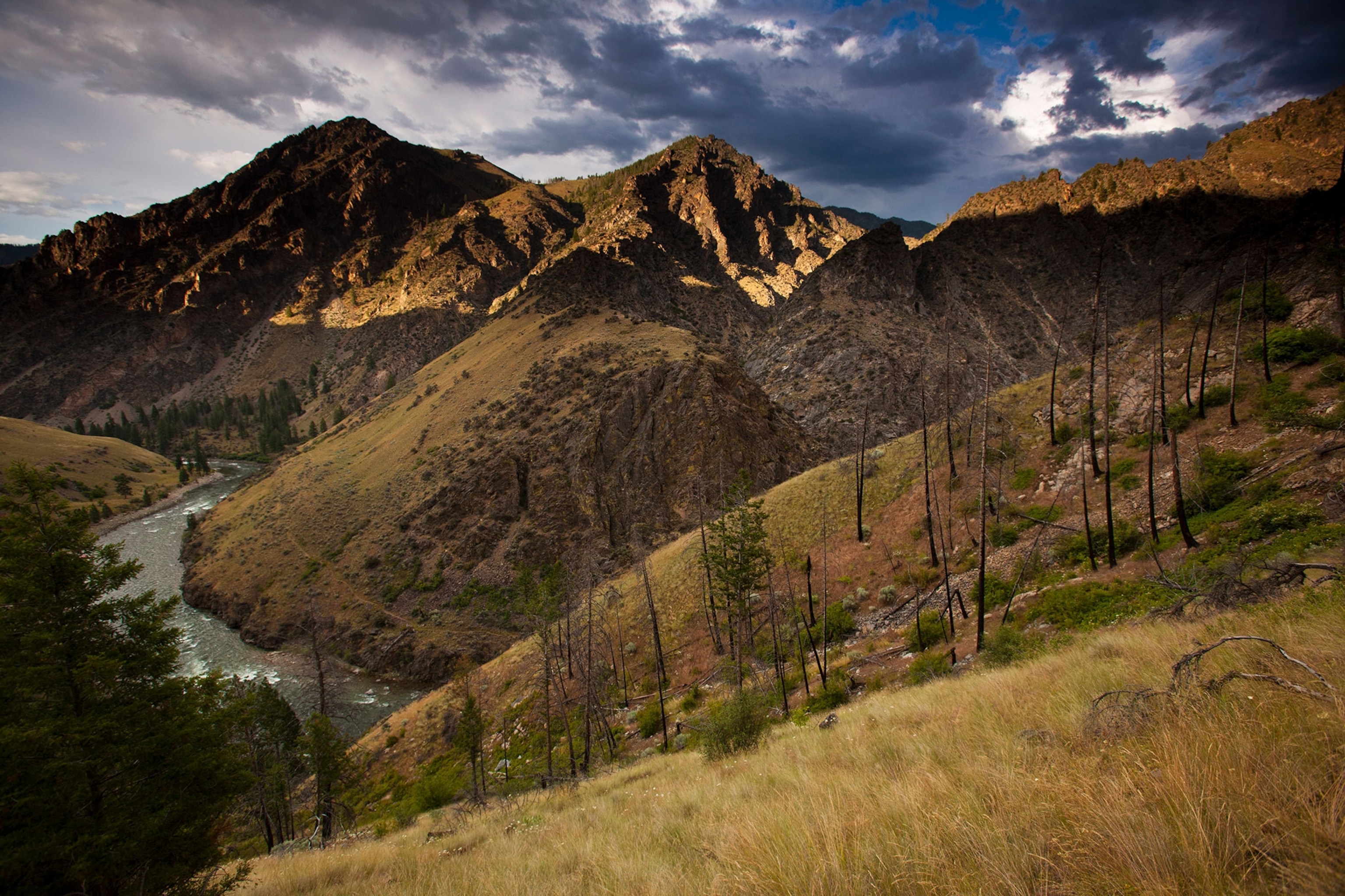 Salmon River