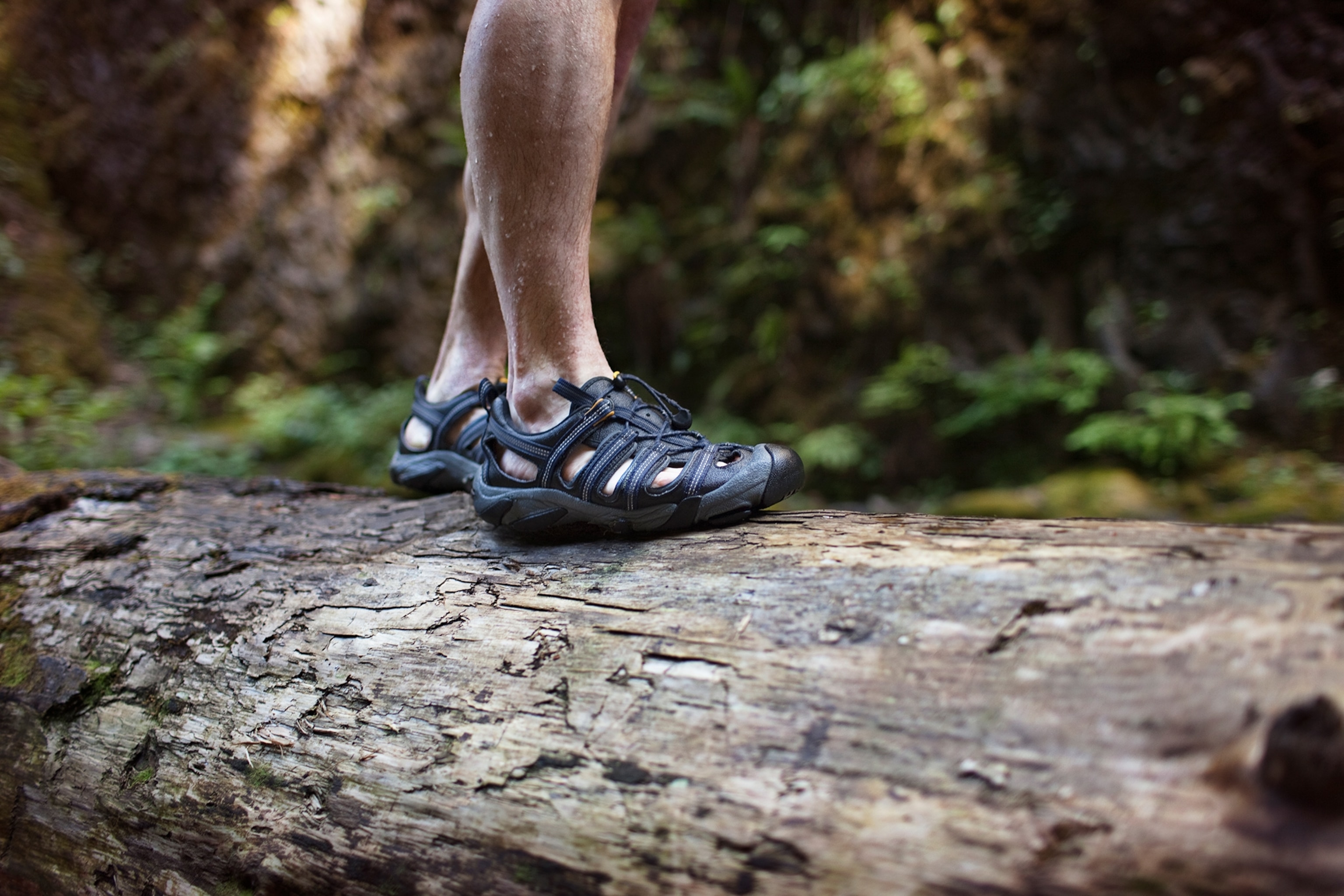 A man walks across a log that's damp.