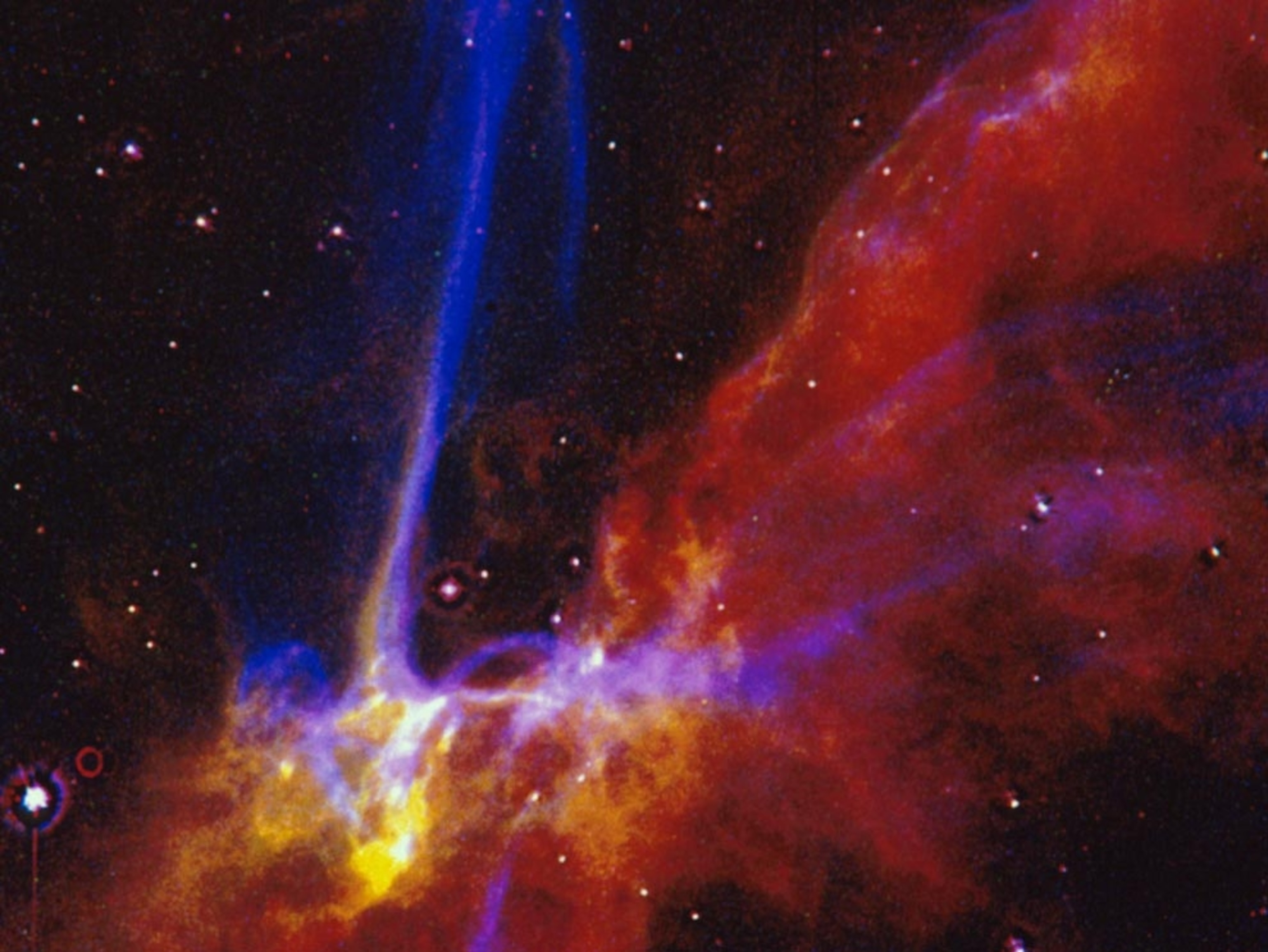 the Cygnus Loop Supernova