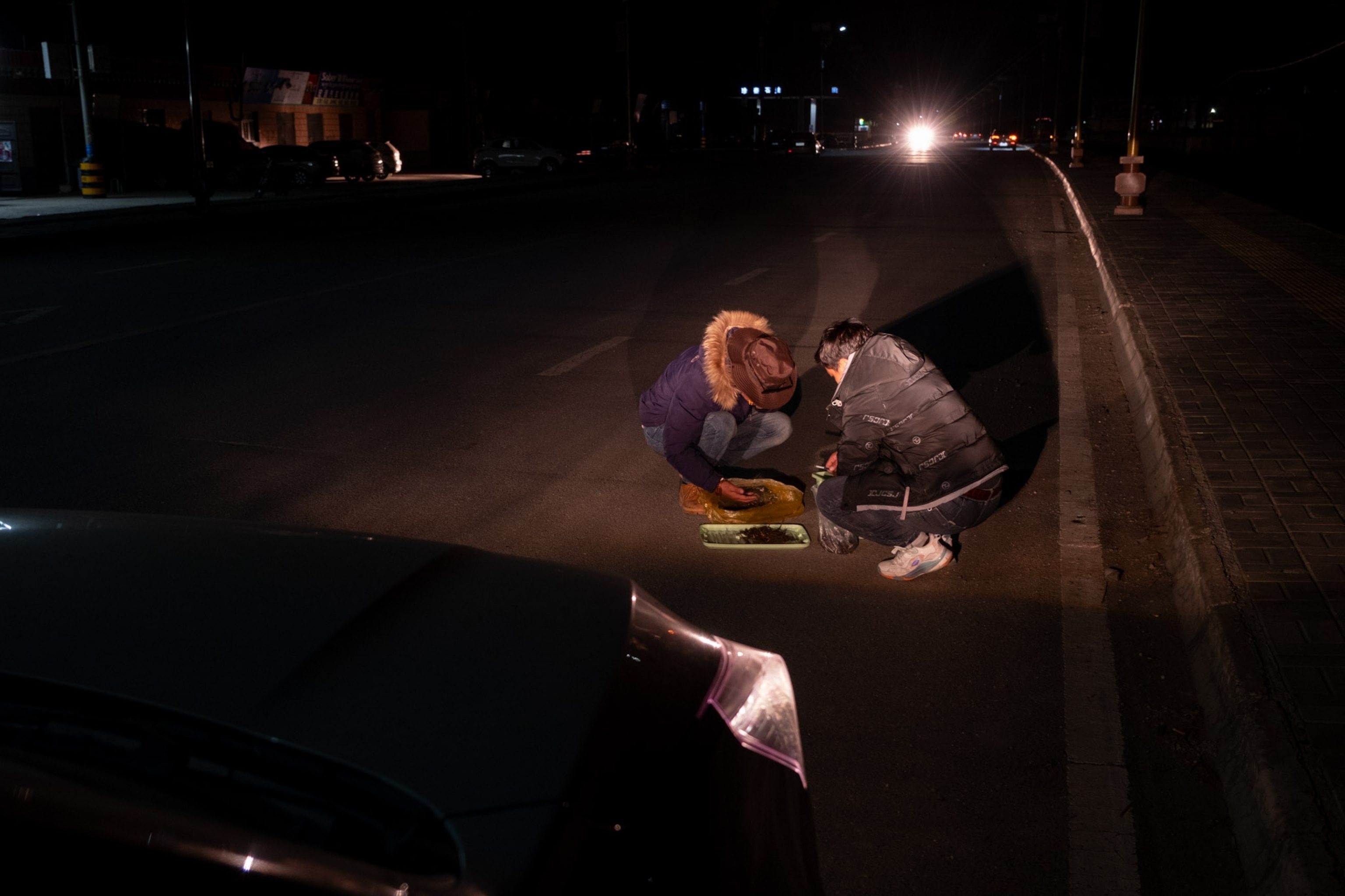 Two people sift through cordyceps at night hunched over in the street.