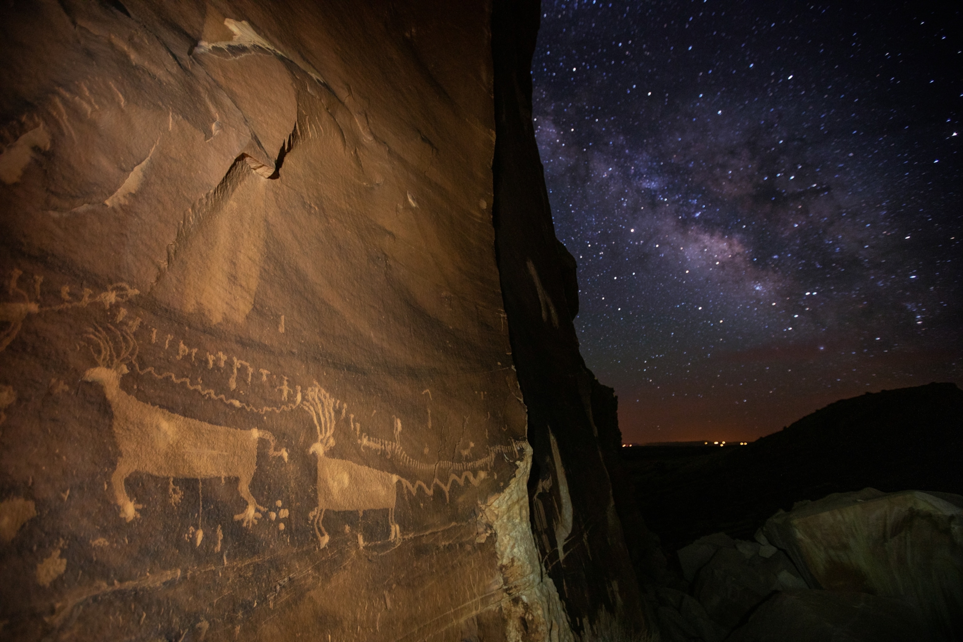 Petroglyphs of mammals with antlers carved into a cliff face are lit by flash beneath a star-filled sky.