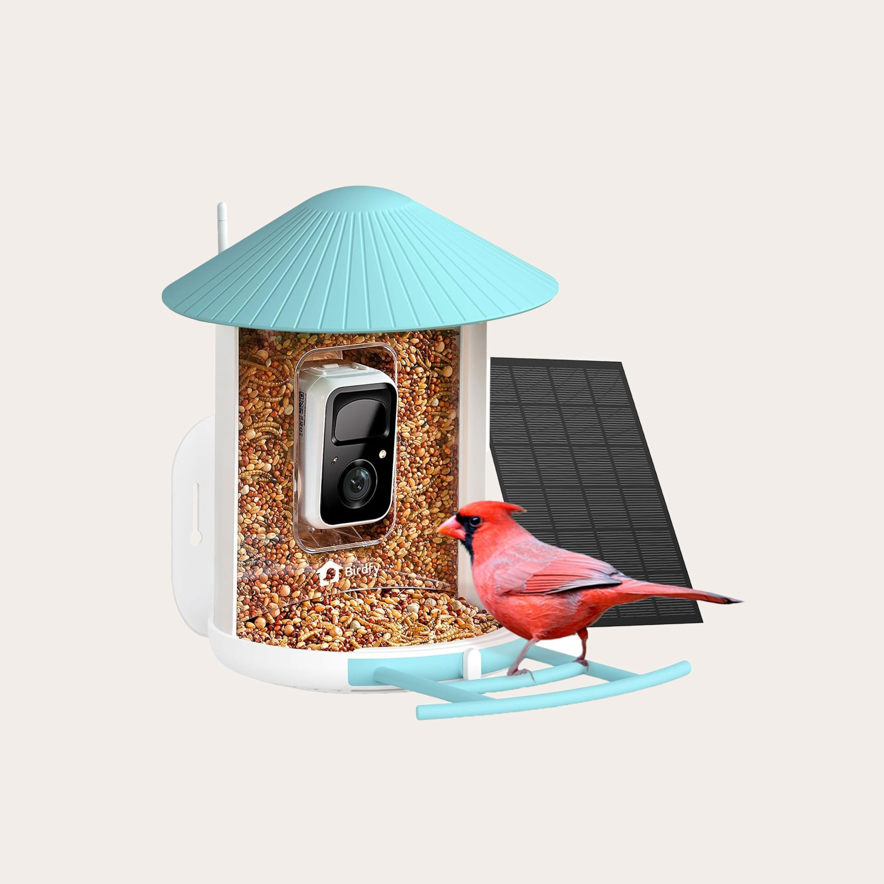 Red bird sitting on a blue and white bird feeder with a built in camera placed on a tan background.