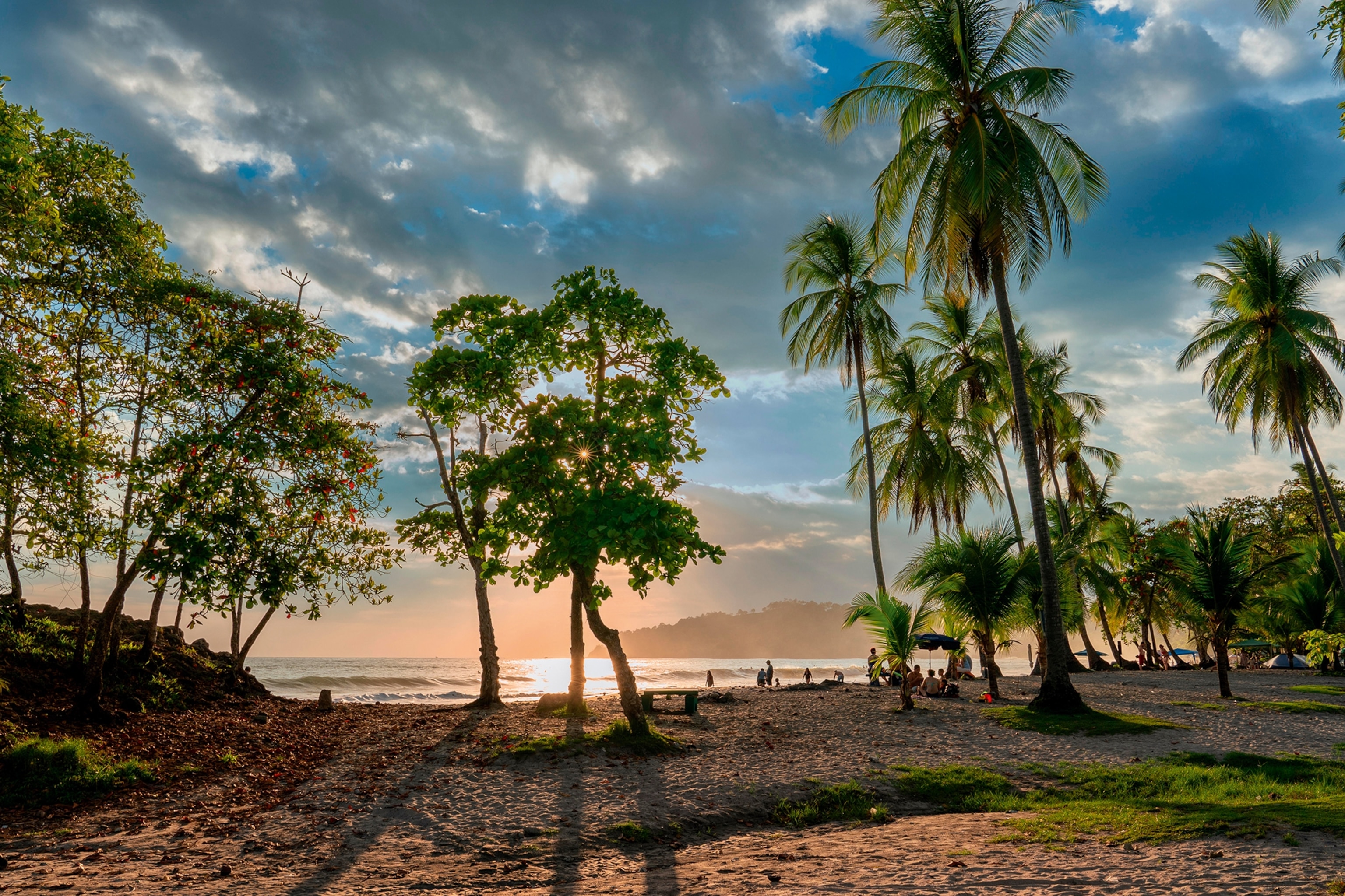 A beach sunset on the Osa Peninsula, in the foreground trees line the beach, whilst the ocean can be seen in the background.