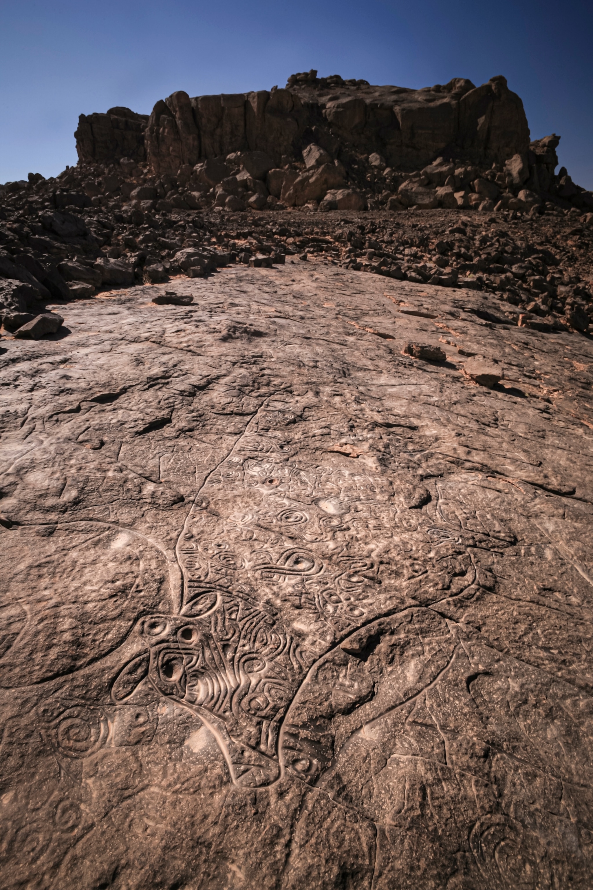 Algeria rock art