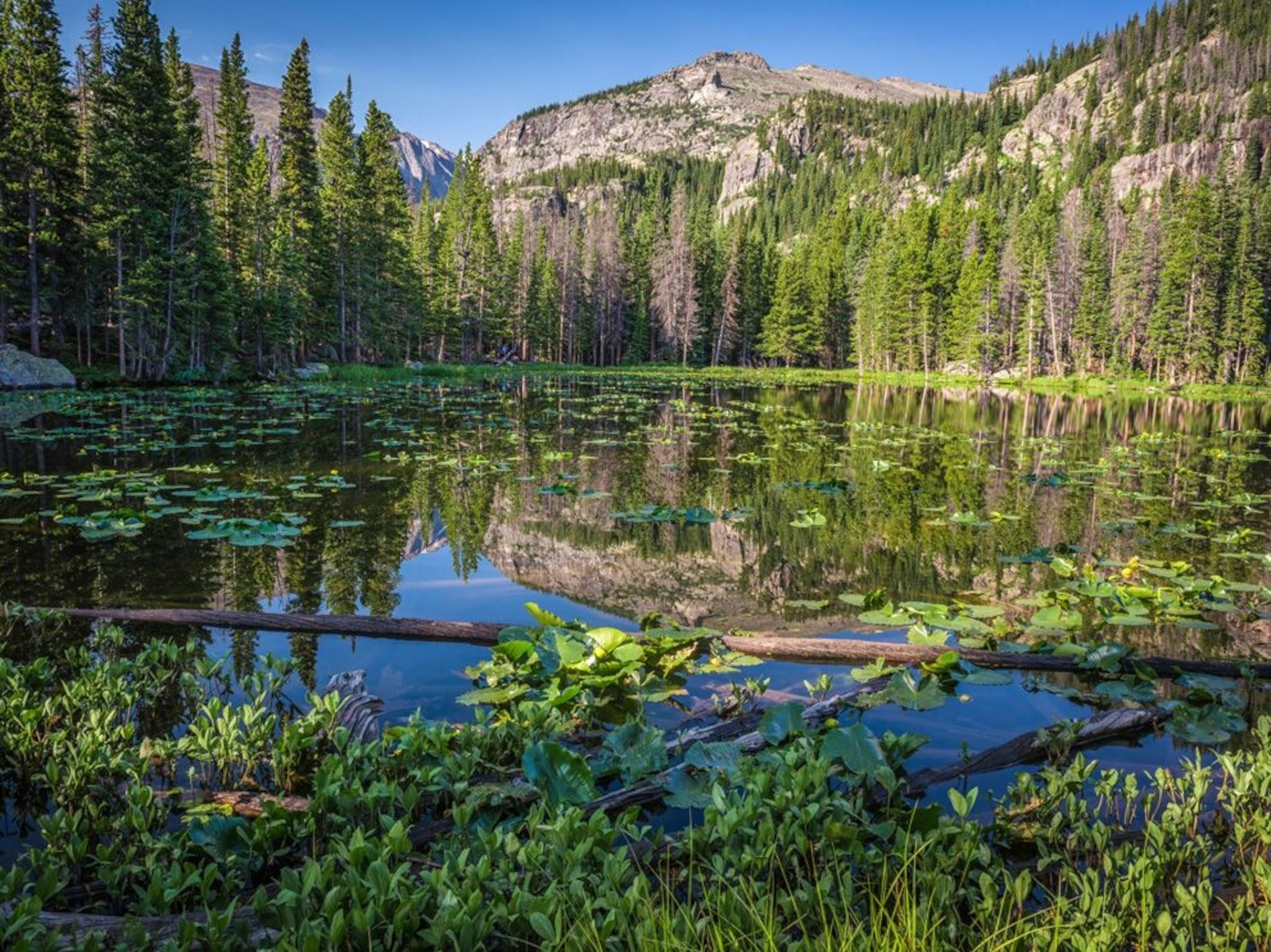 Nymph Lake in Rocky Mountain National Park