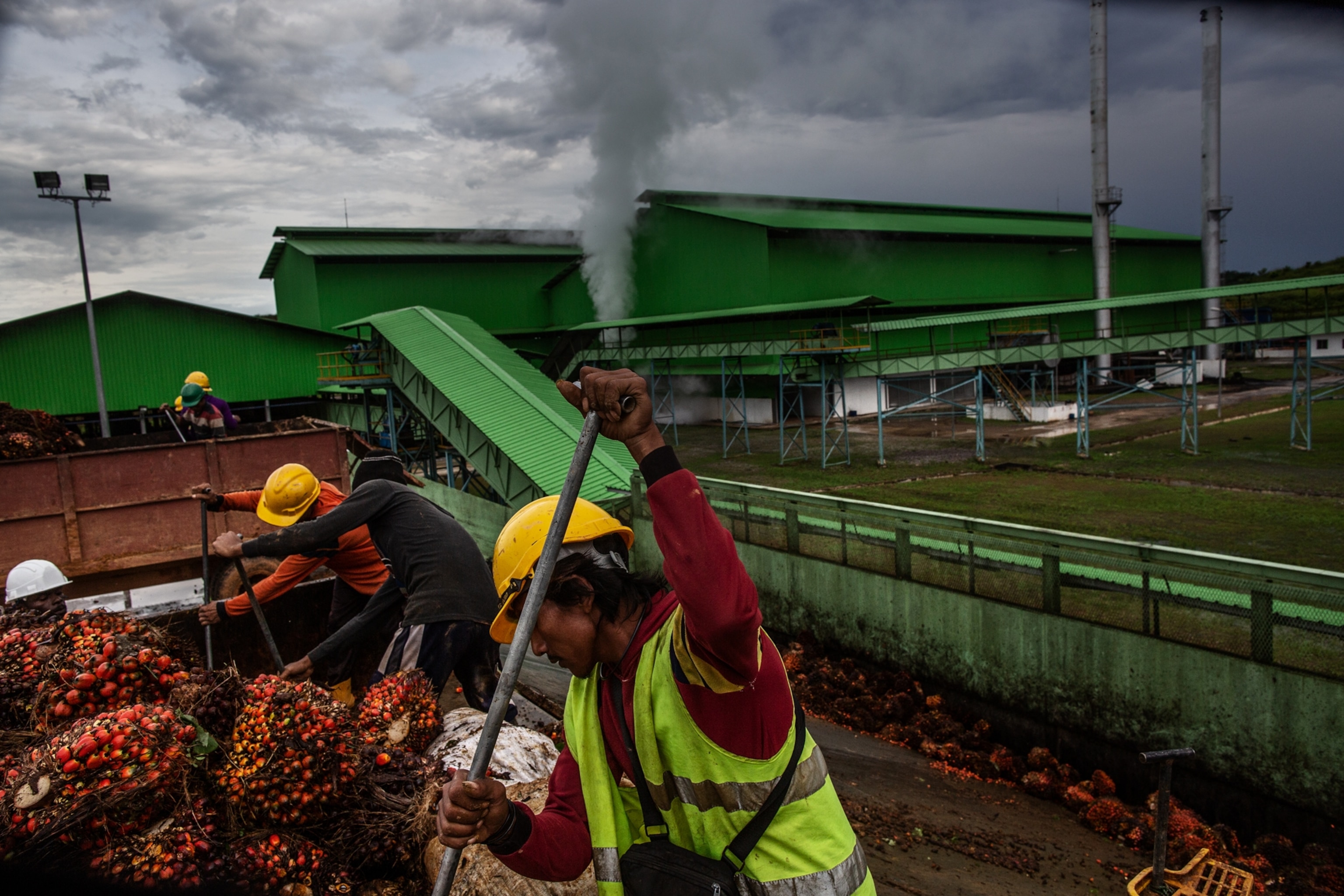 workers in yellow hardhats at the mill