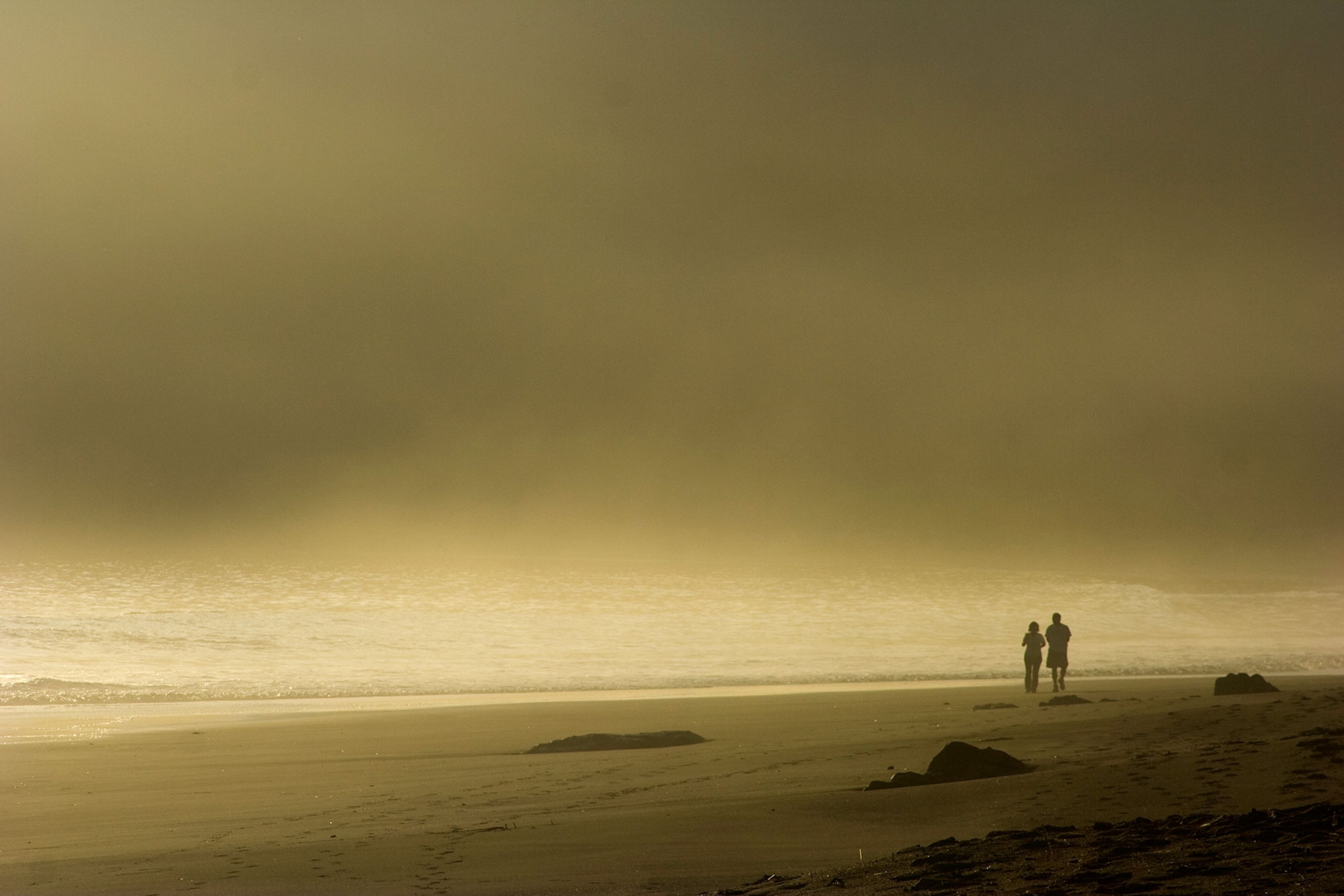 A couple walking on Third Beach in fog on the Olympic Peninsula in Olympic National Park