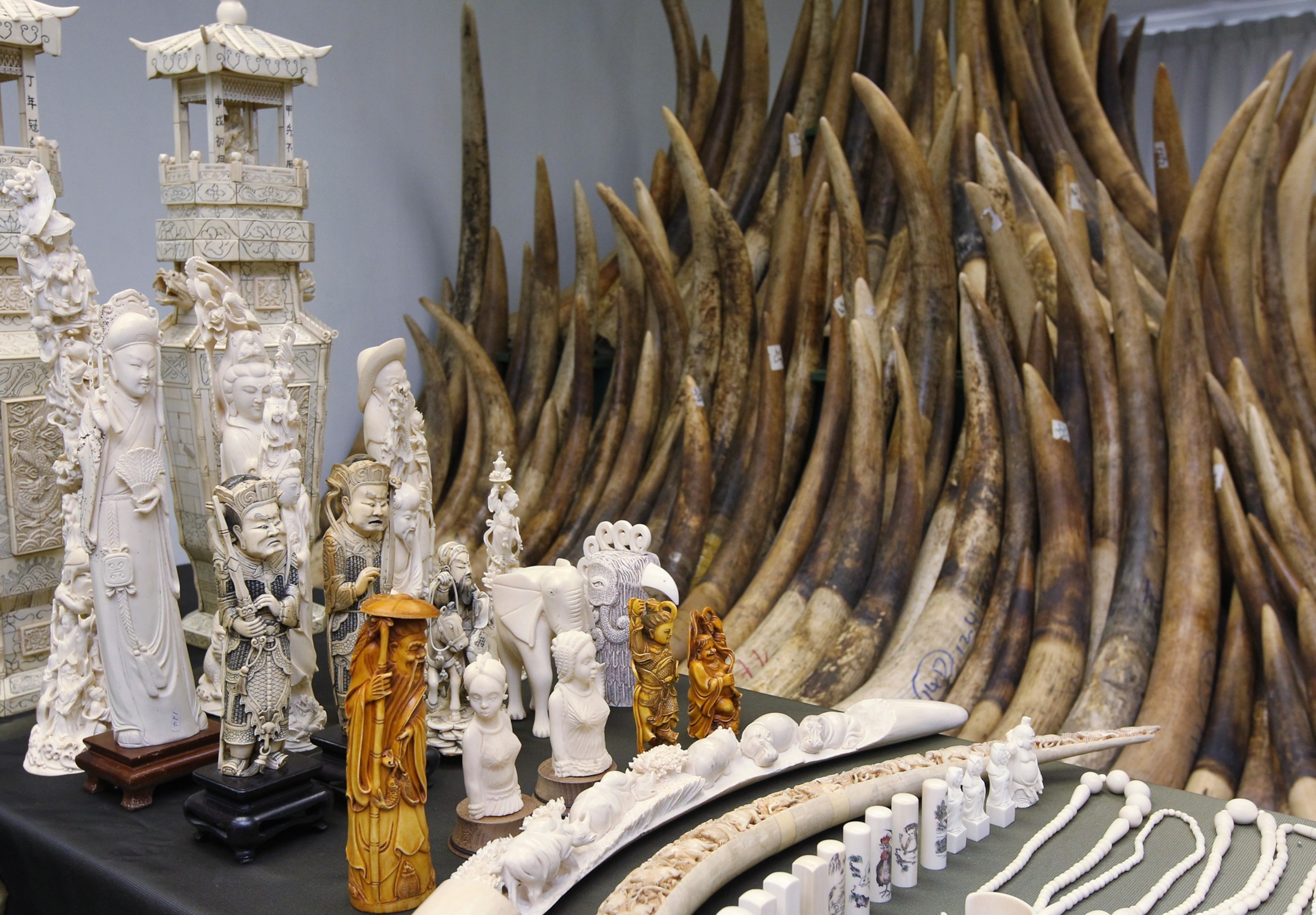 ivory sculptures sitting on a table with ivory tusks in the background