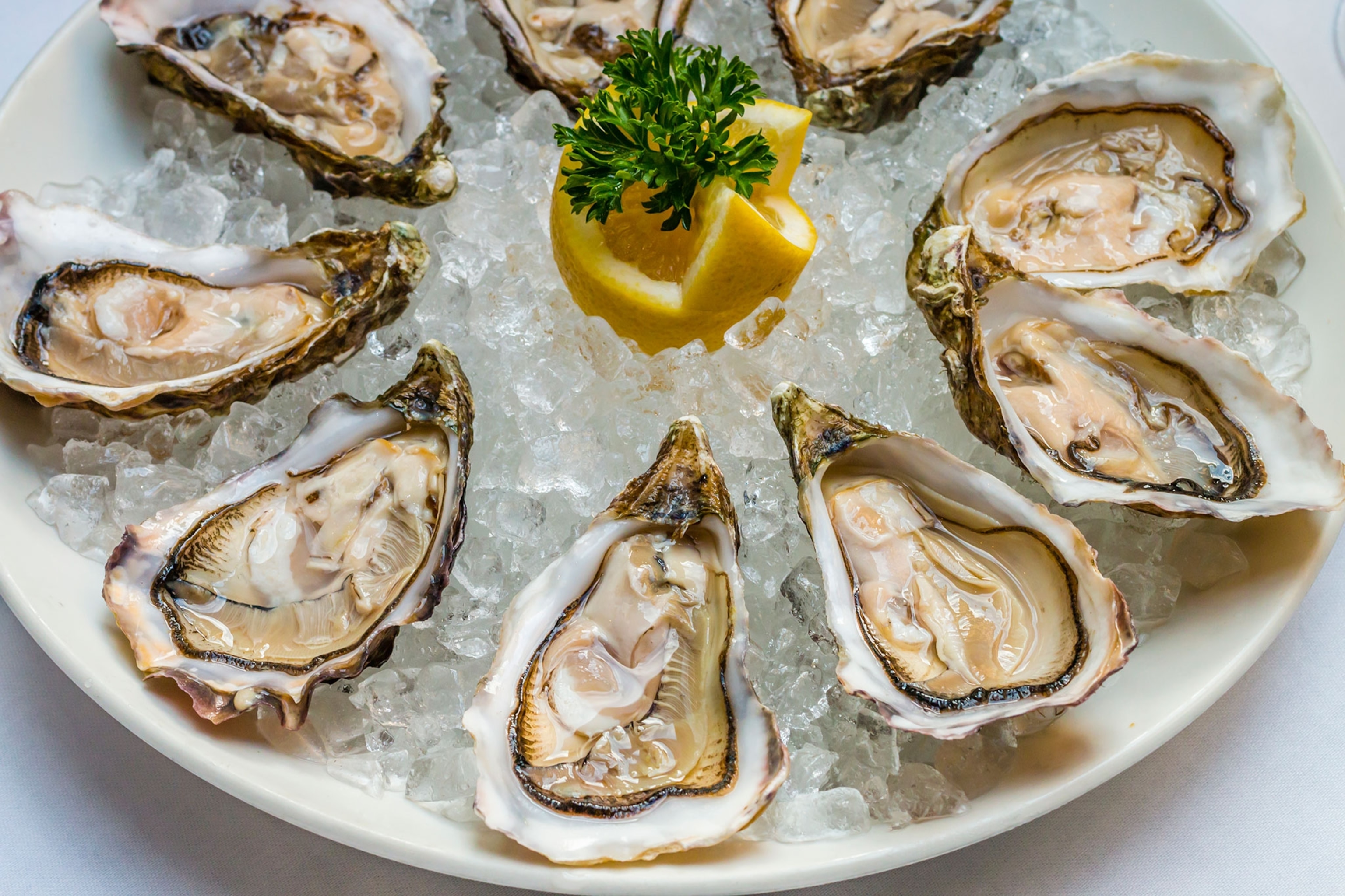 raw oysters on ice