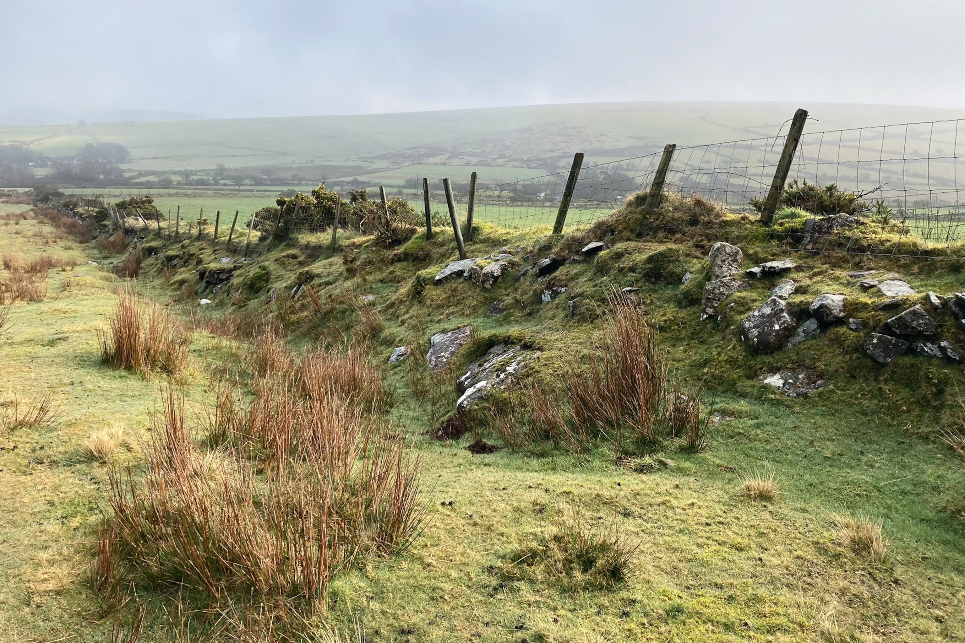 Green field lined with a wire fence in a misty landscape