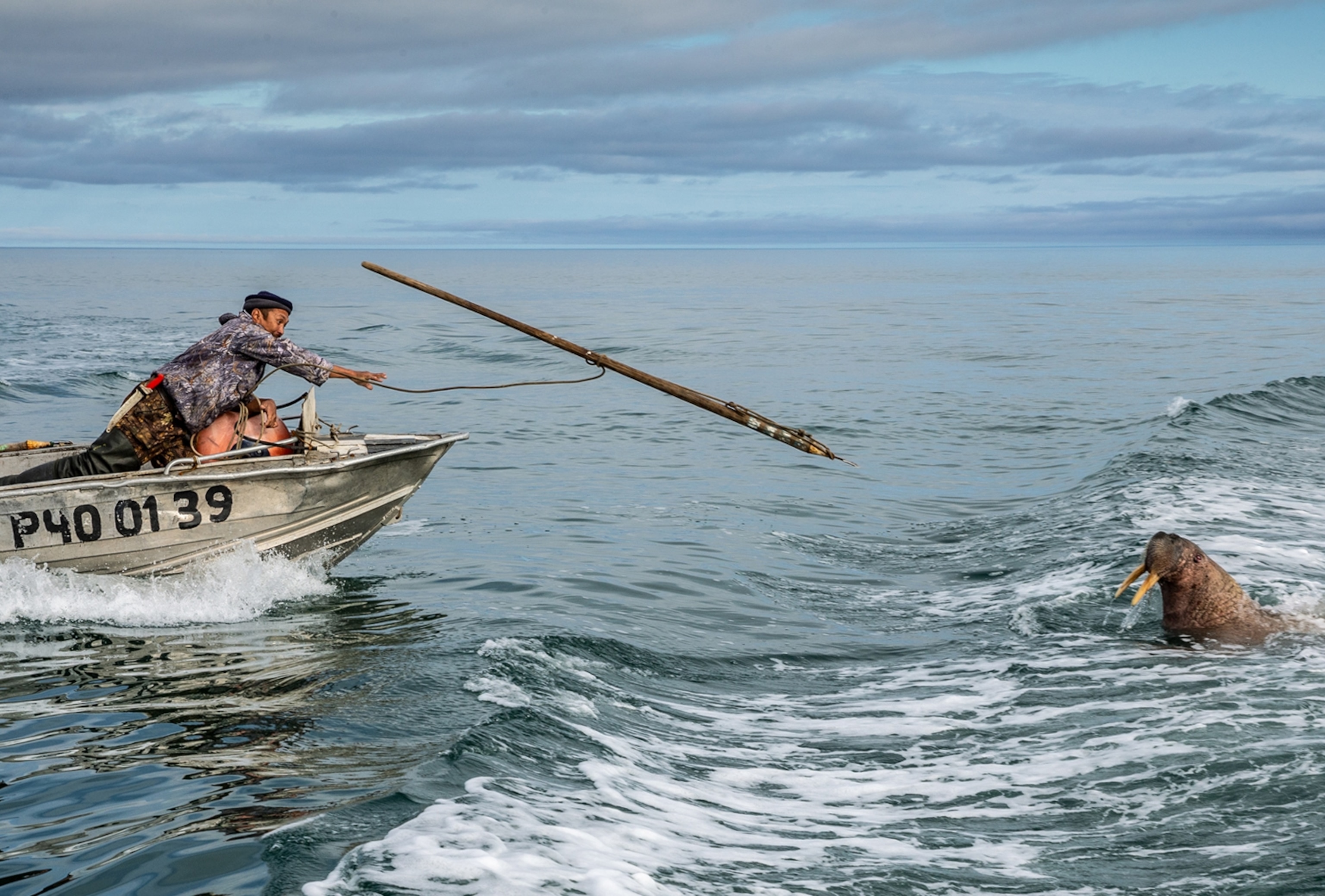 boat with two men and harpoon is in the air aiming the walrus few yards away