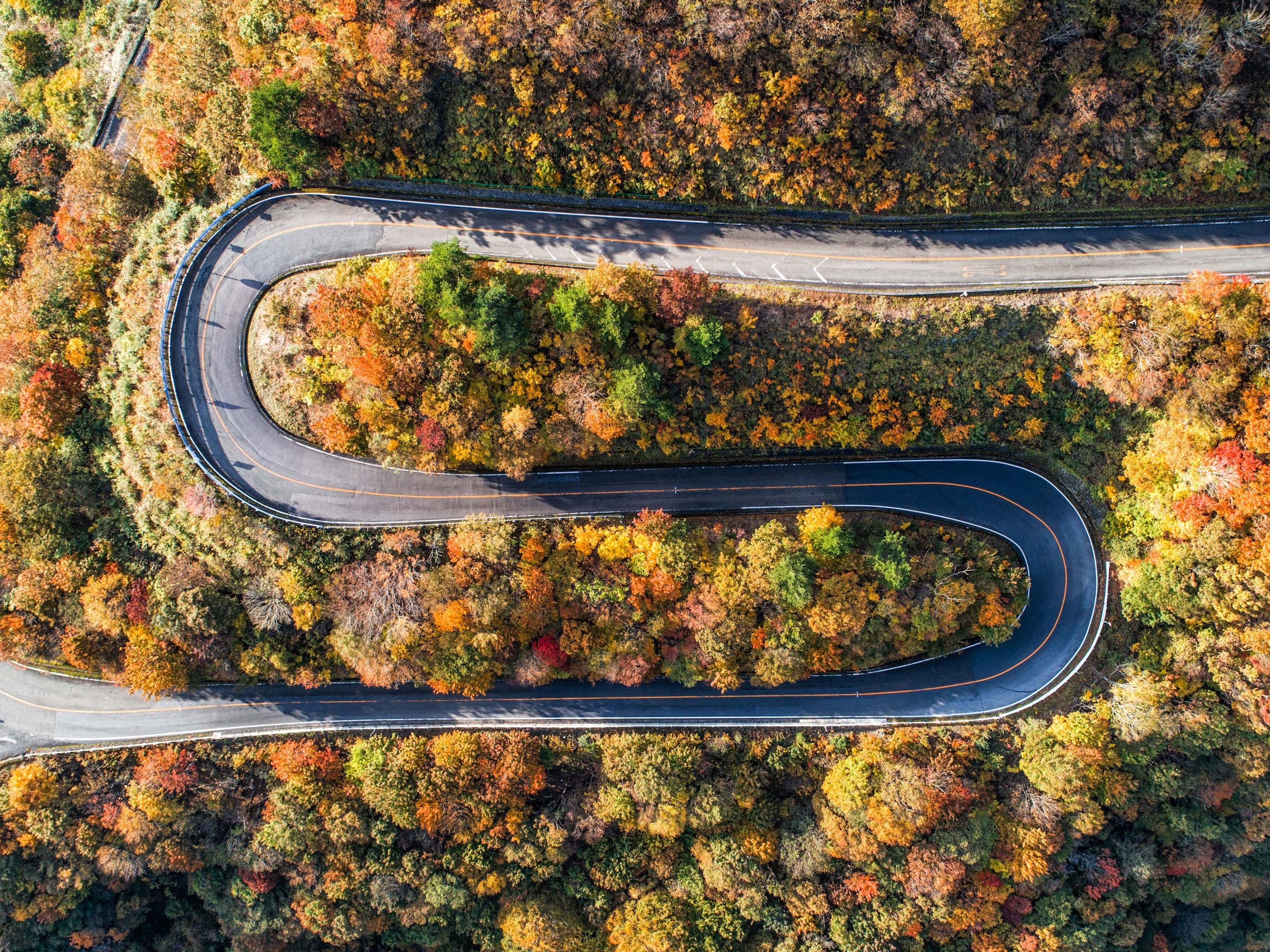 a curving road seen from above