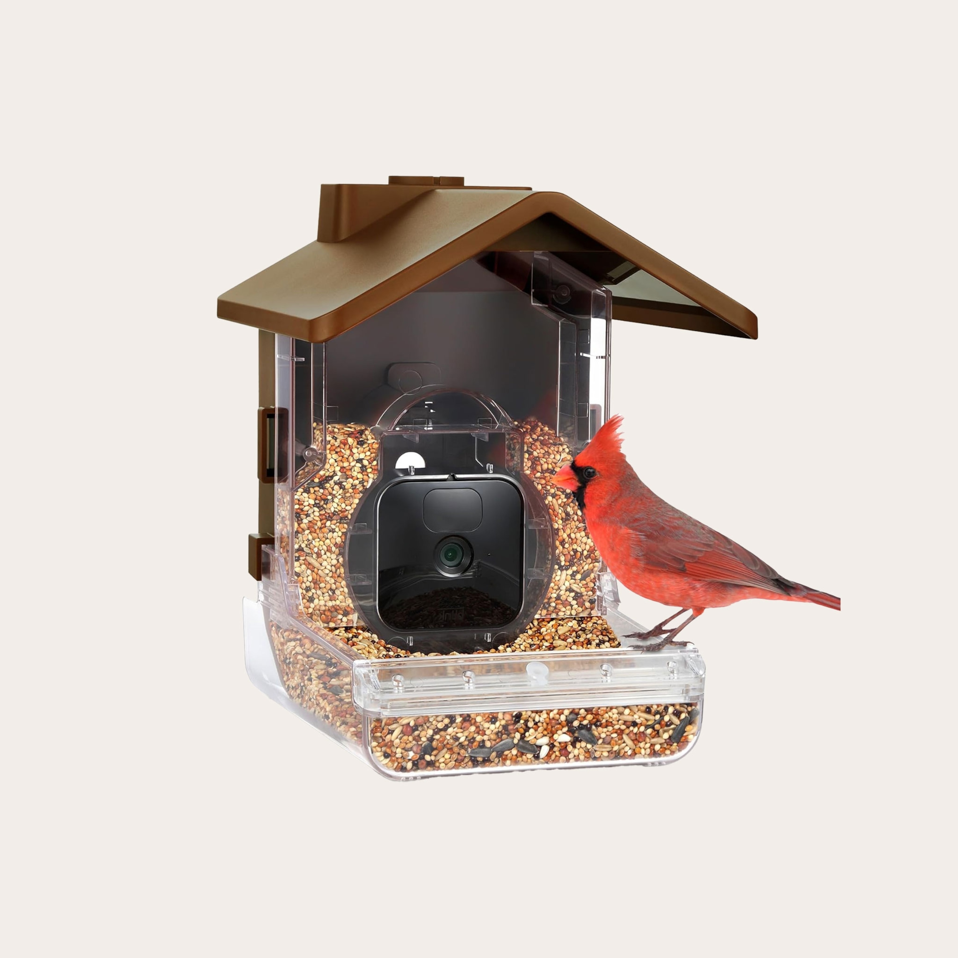 Red bird sitting on a clear and brown plastic birdhouse bird feeder with a built in camera. All placed on top of a tan background.
