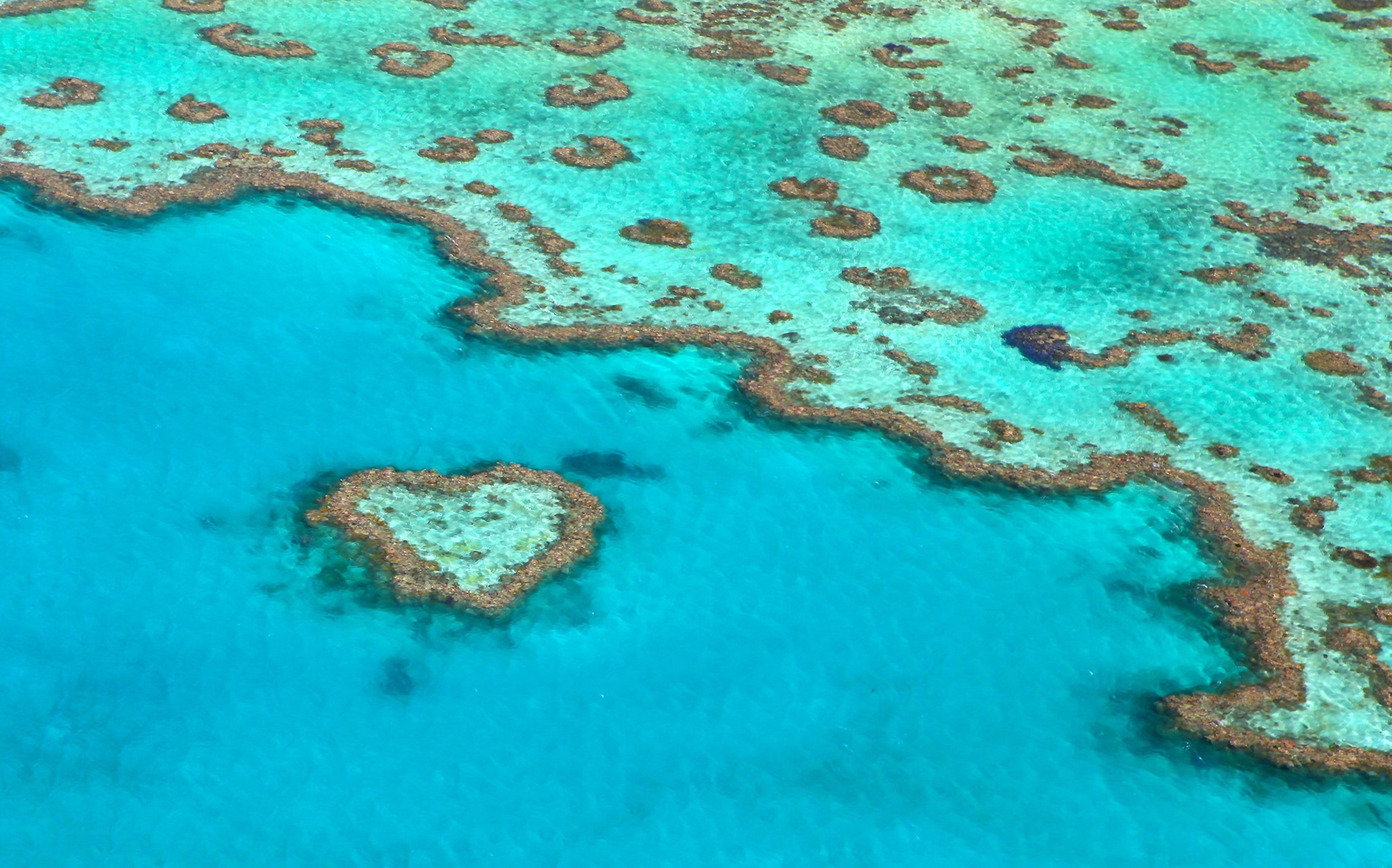 a heart shape in the Great Barrier Reef in Australia