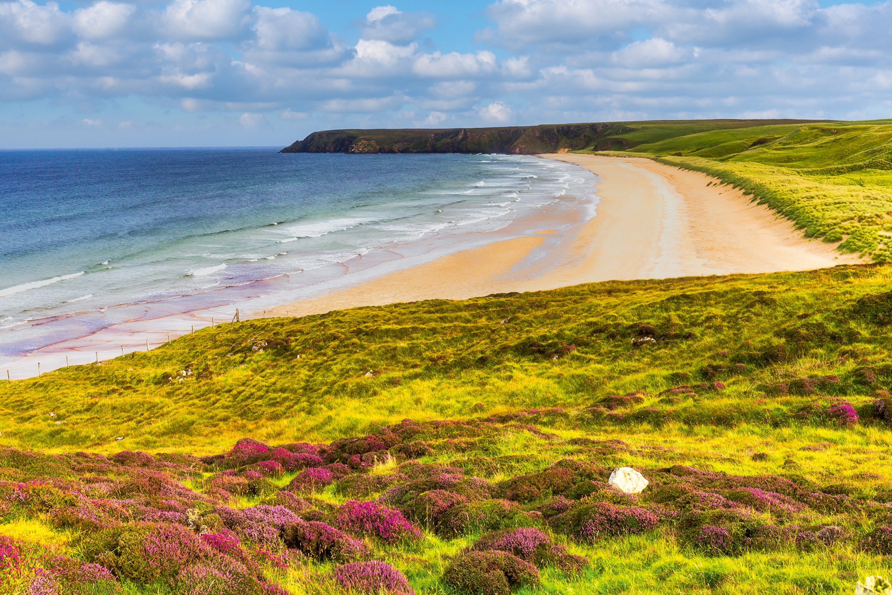 A picture of a curved beach in Scotland. The sea is dark blue whilst the greenery surrrounding the sand is plush and green.