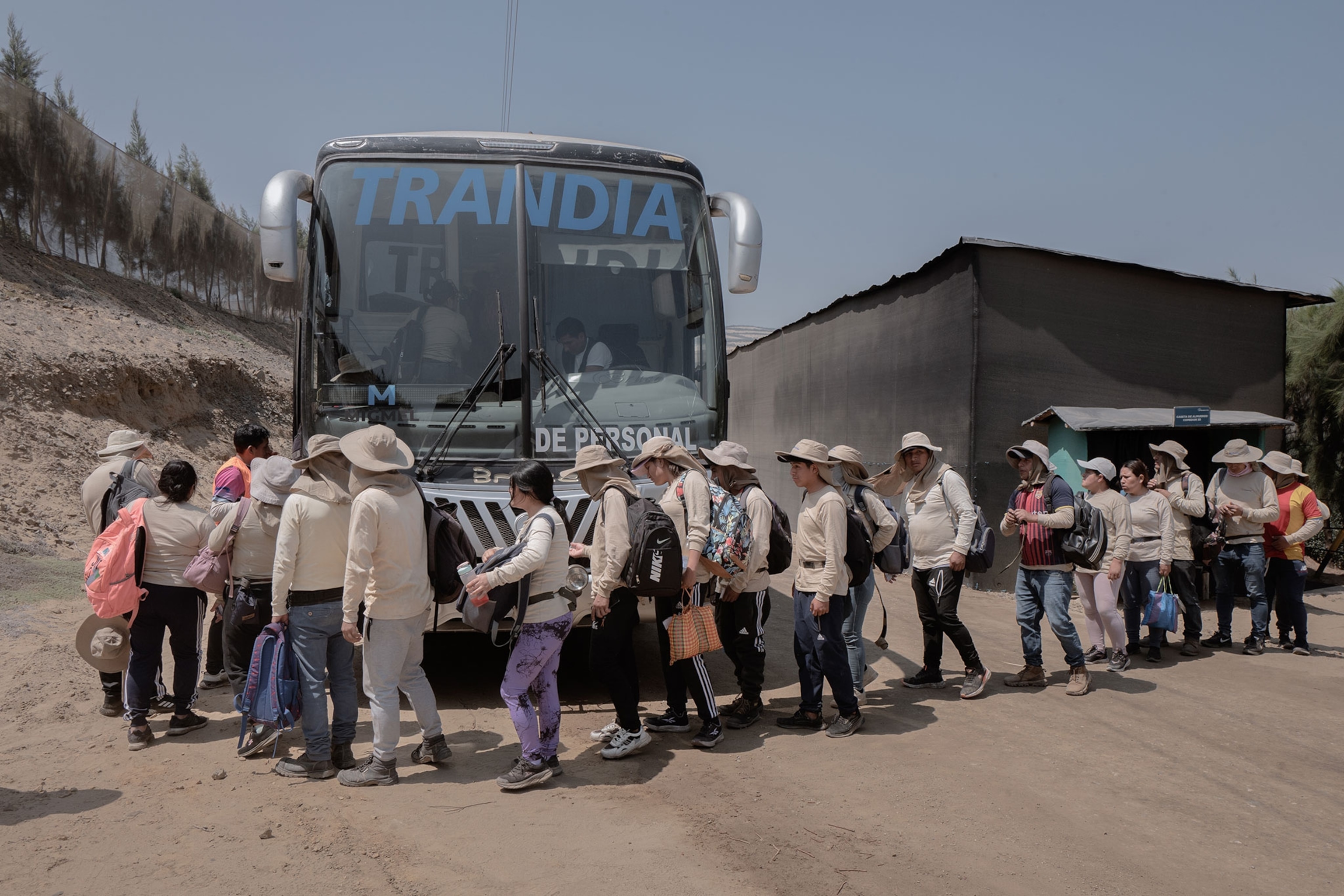 People lined up in front of a bus in the middle of their shift at a blueberry farm.