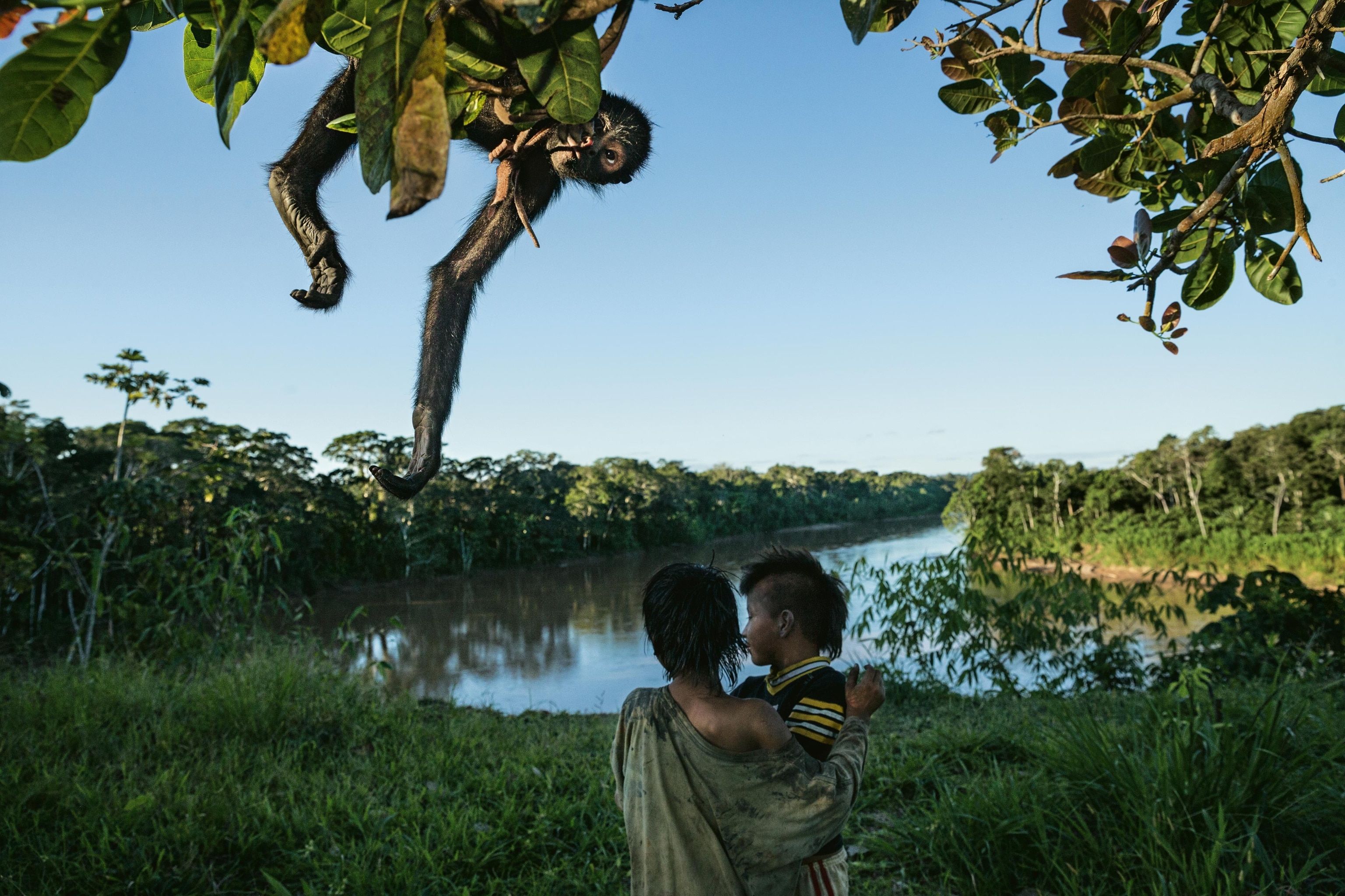 a spider monkey behind two people in Manú National Park, Peru
