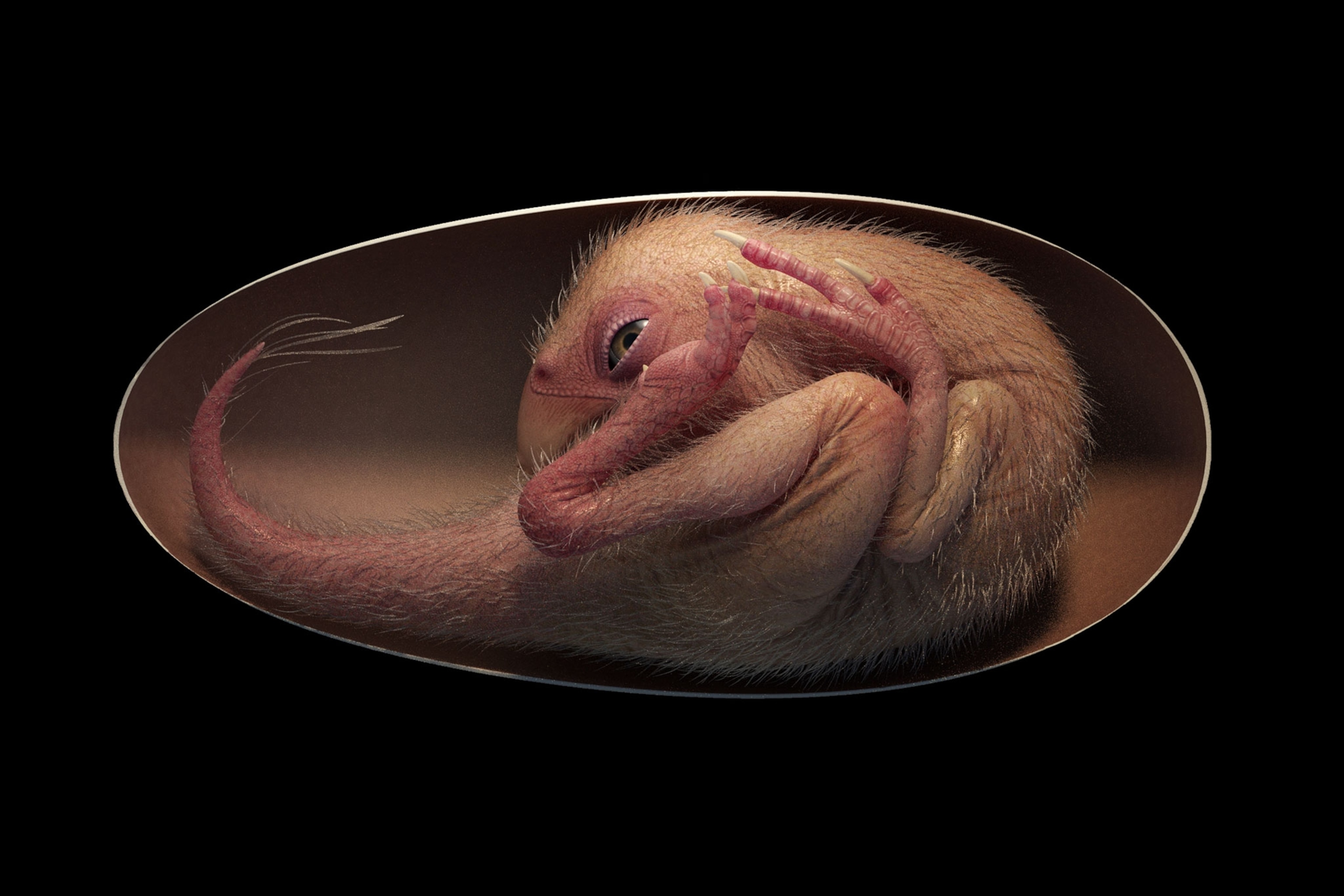 dino embryo