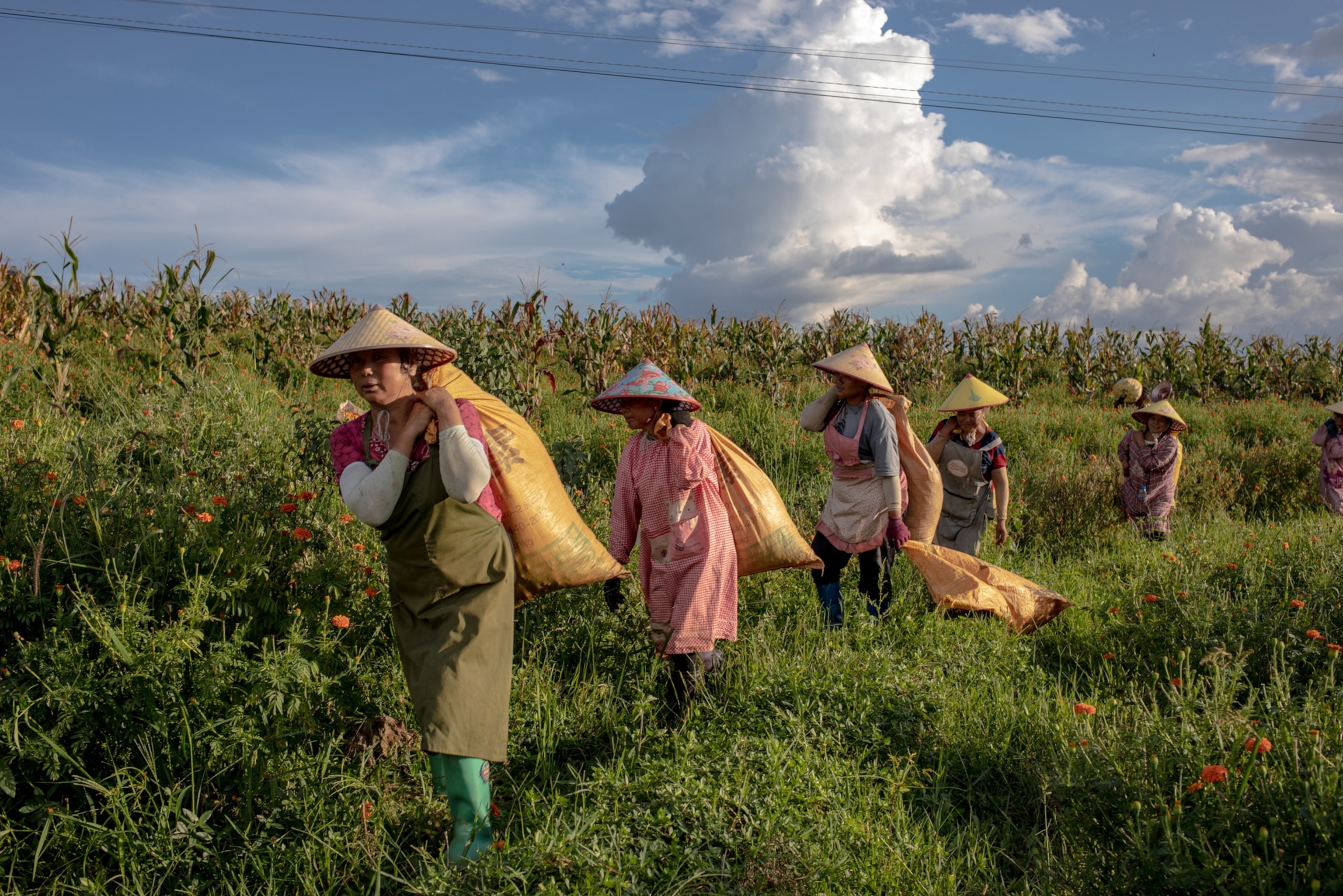 Photo of women in hats carrying bags