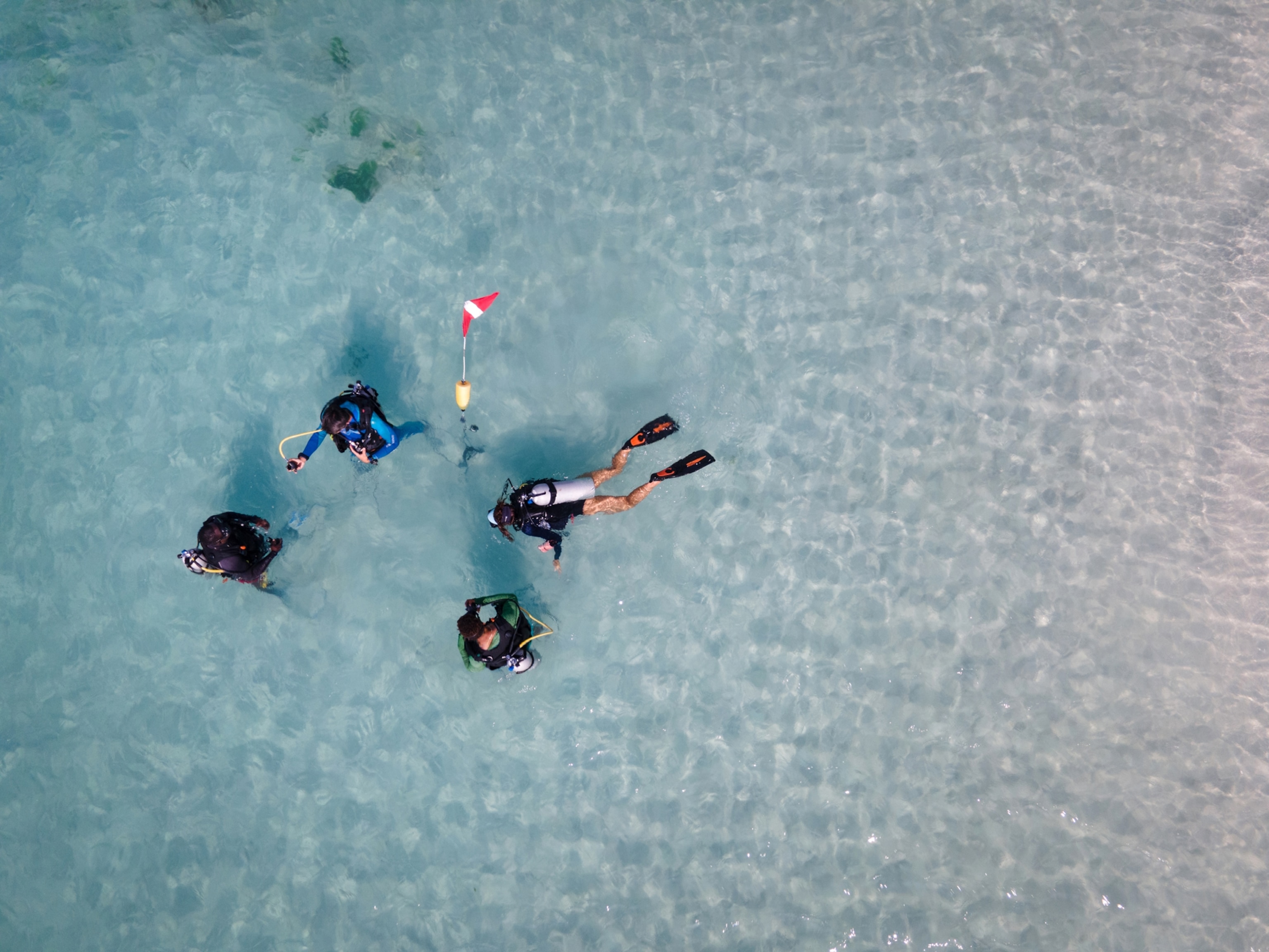 Four people scuba diving in clear waters.