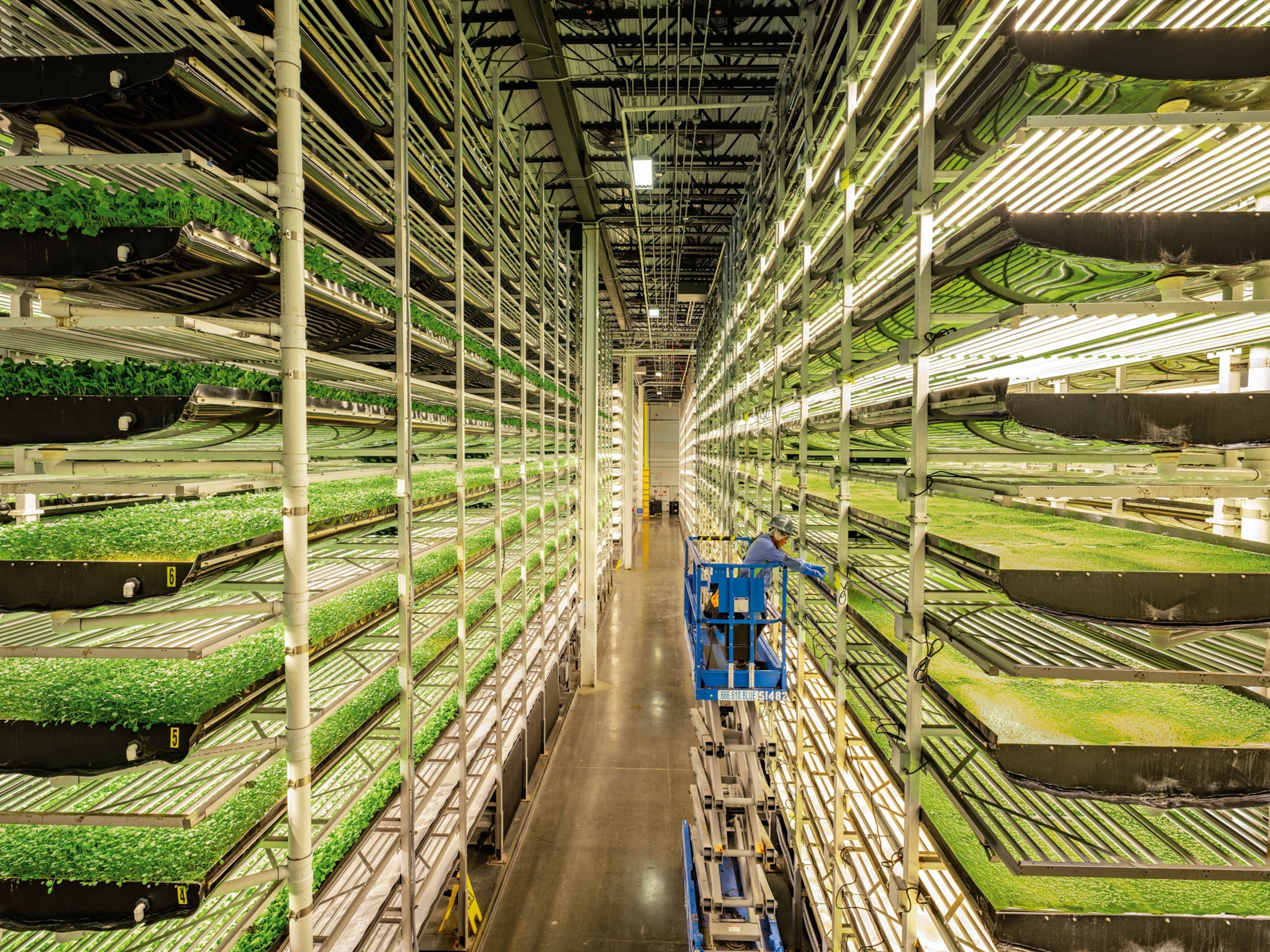 a woman on a machine lift tending to green plants stacked vertically