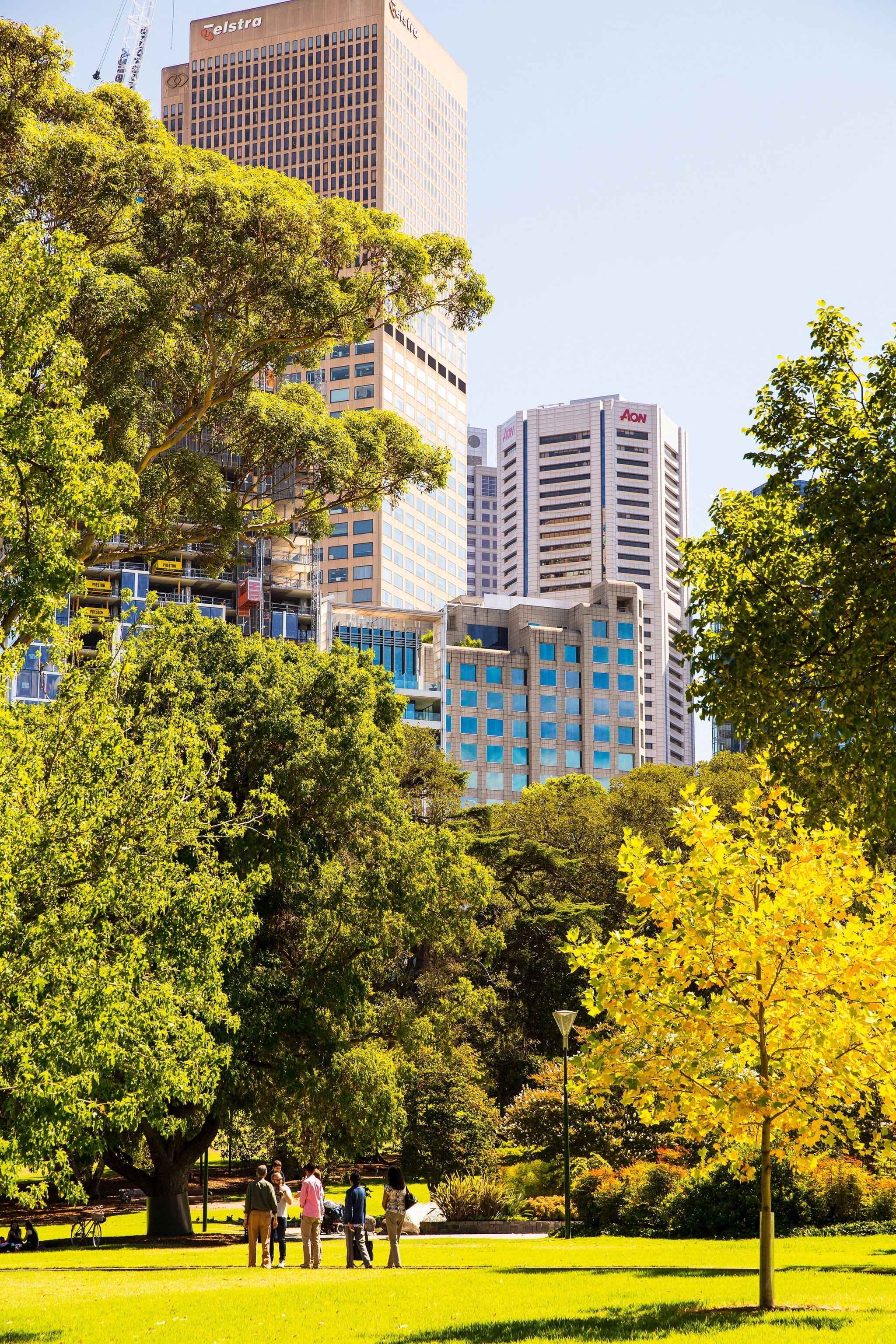 spring set garden within city with skyscrapers in the distance
