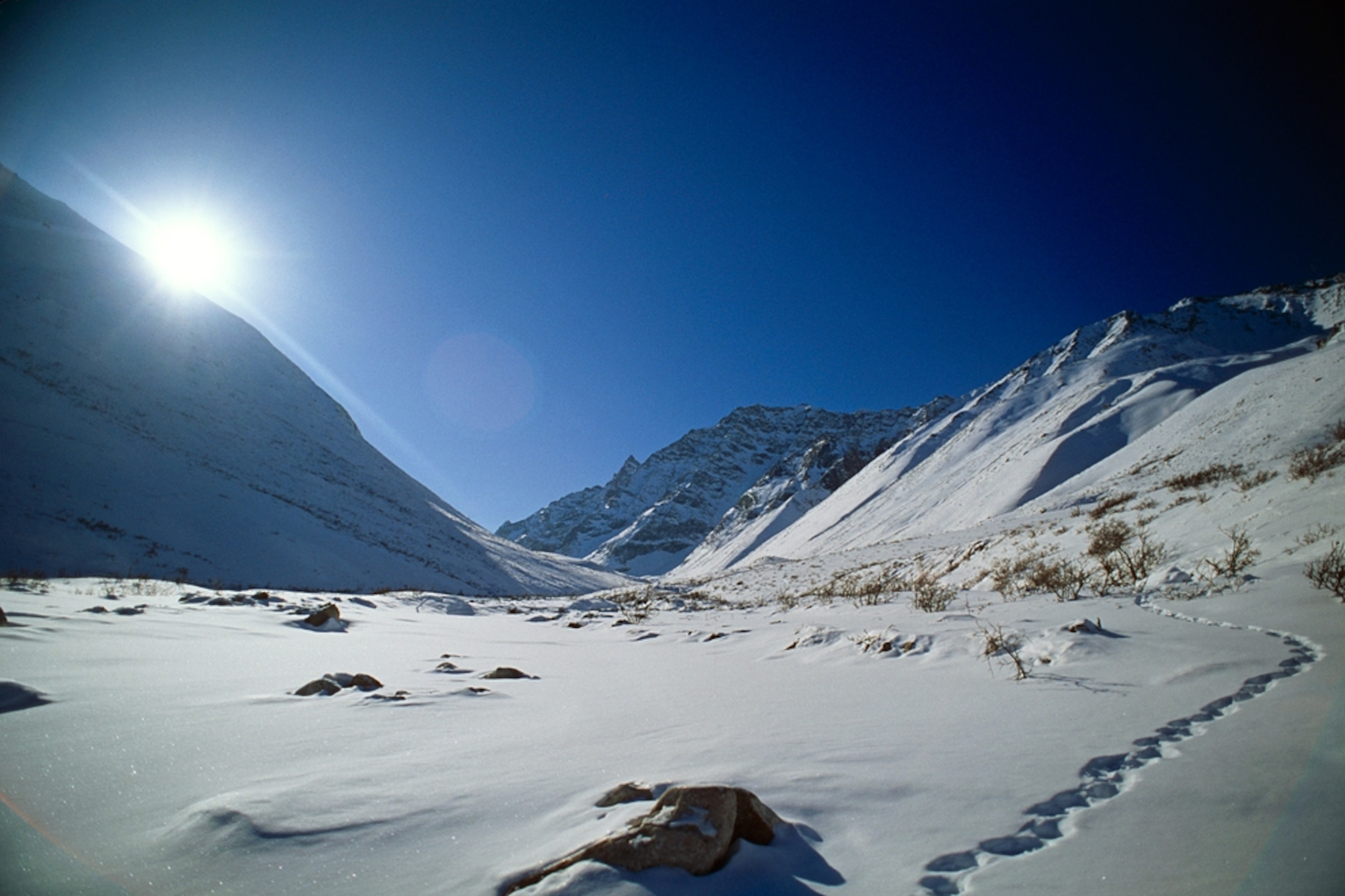 Wolverine Creek Trail near Mt Igikpak AR Alaska Winter Gates of the Arctic NP