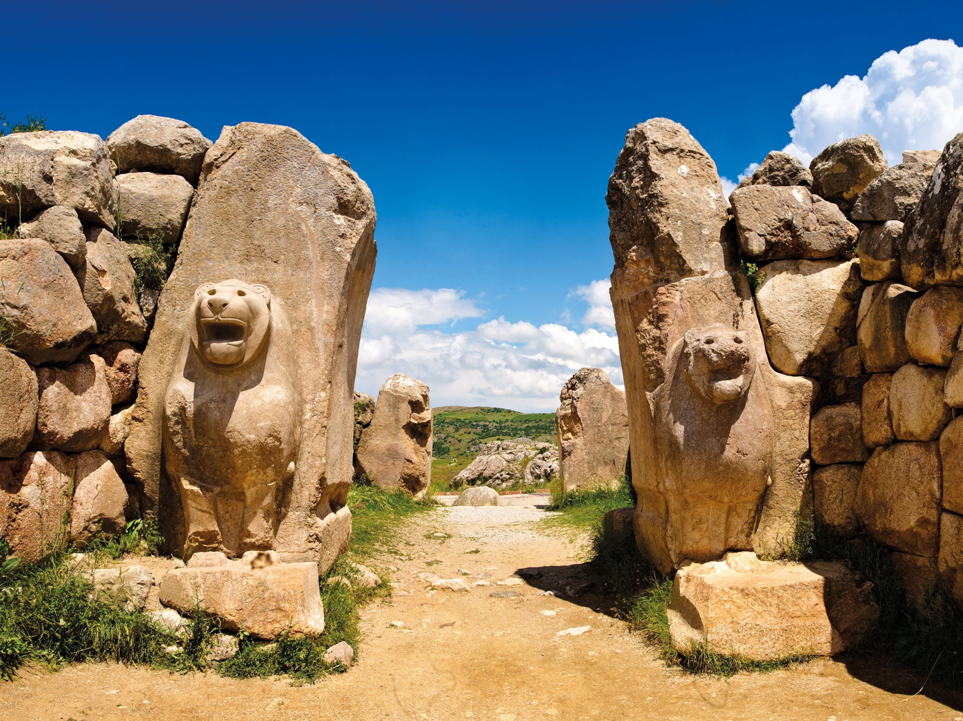 two carvings of lions on either side of an entrance through a stone wall