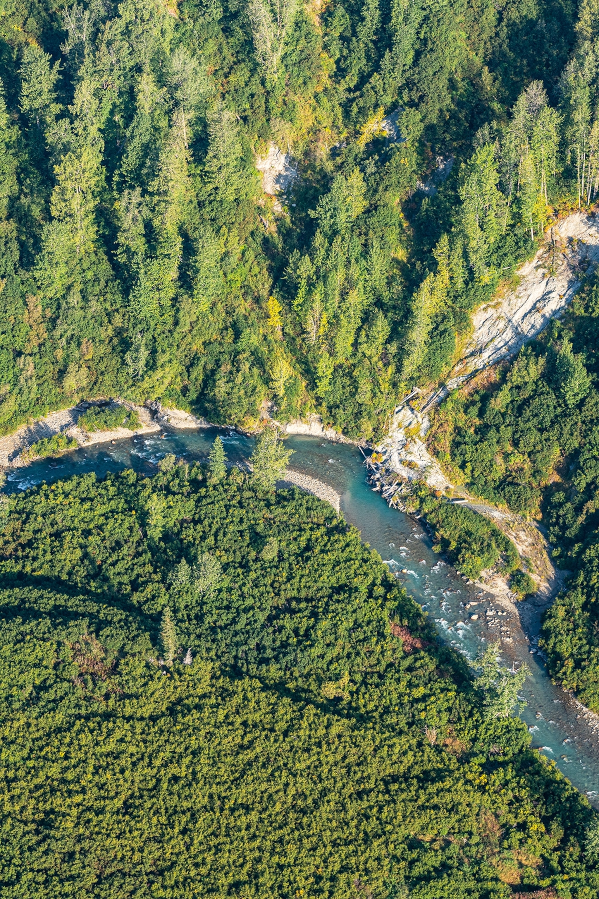 An aerial shot of Alaskan woods with a shallow river snaking through.