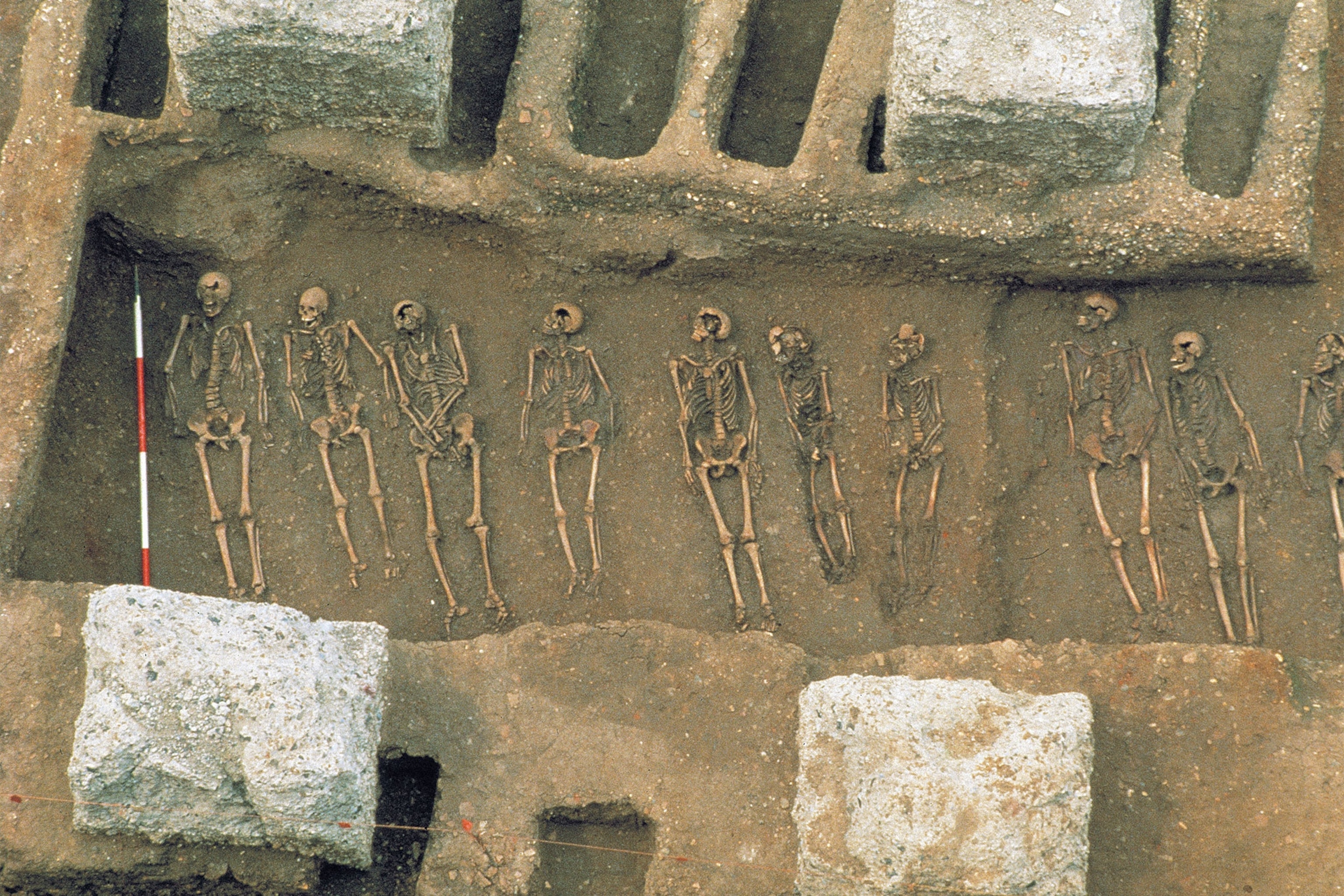 a mass grave from the bubonic plague