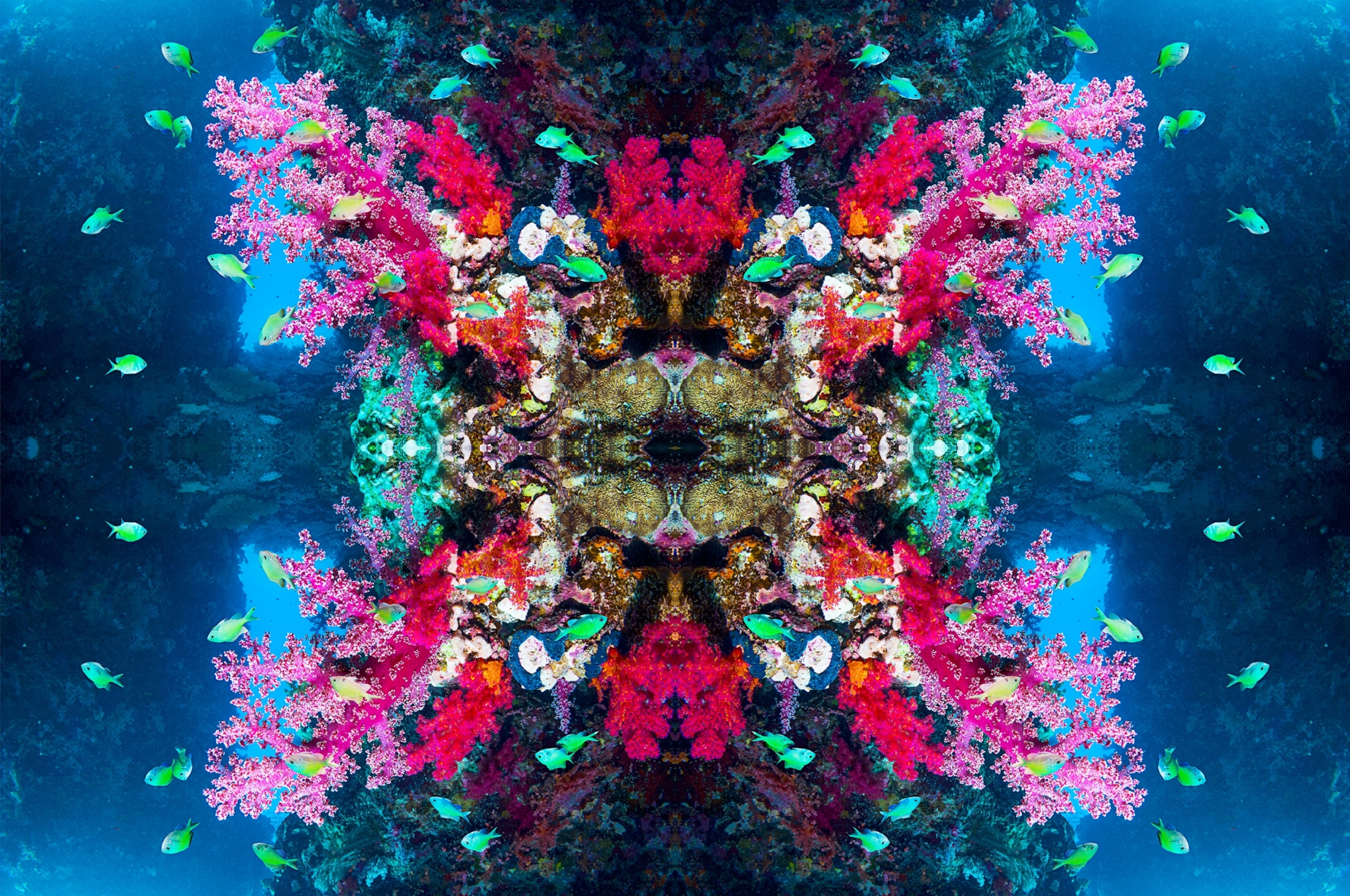 Kaleidoscopic image of Blue-green chromis