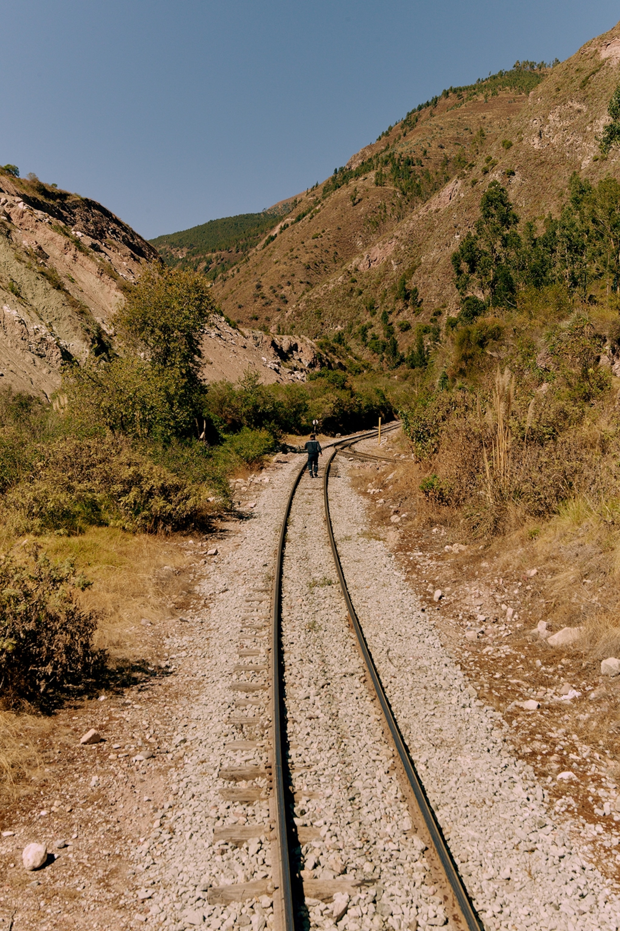 Train tracks going through a dry hillside with bushes and low trees.