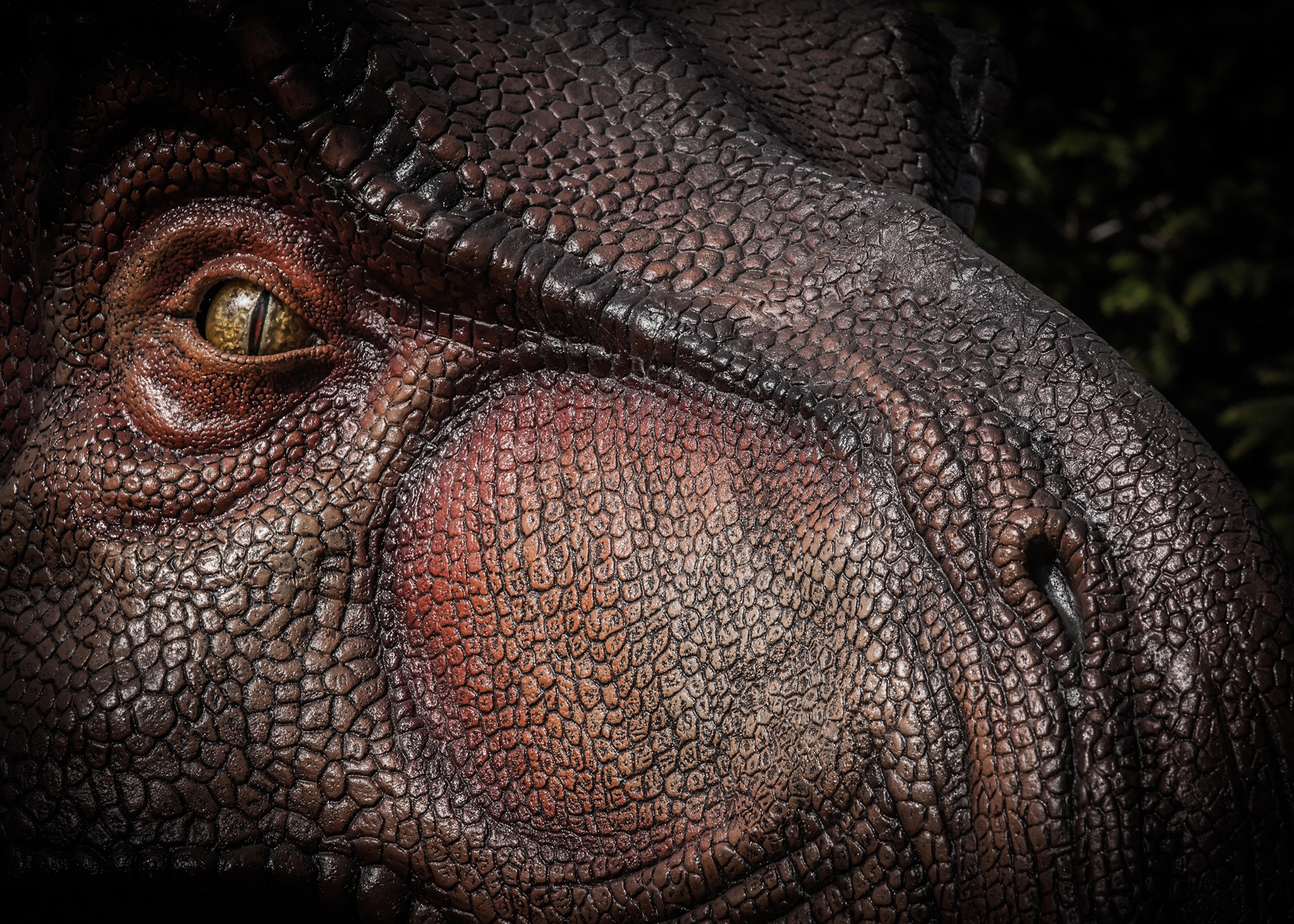 Tyrannosaurus Rex.