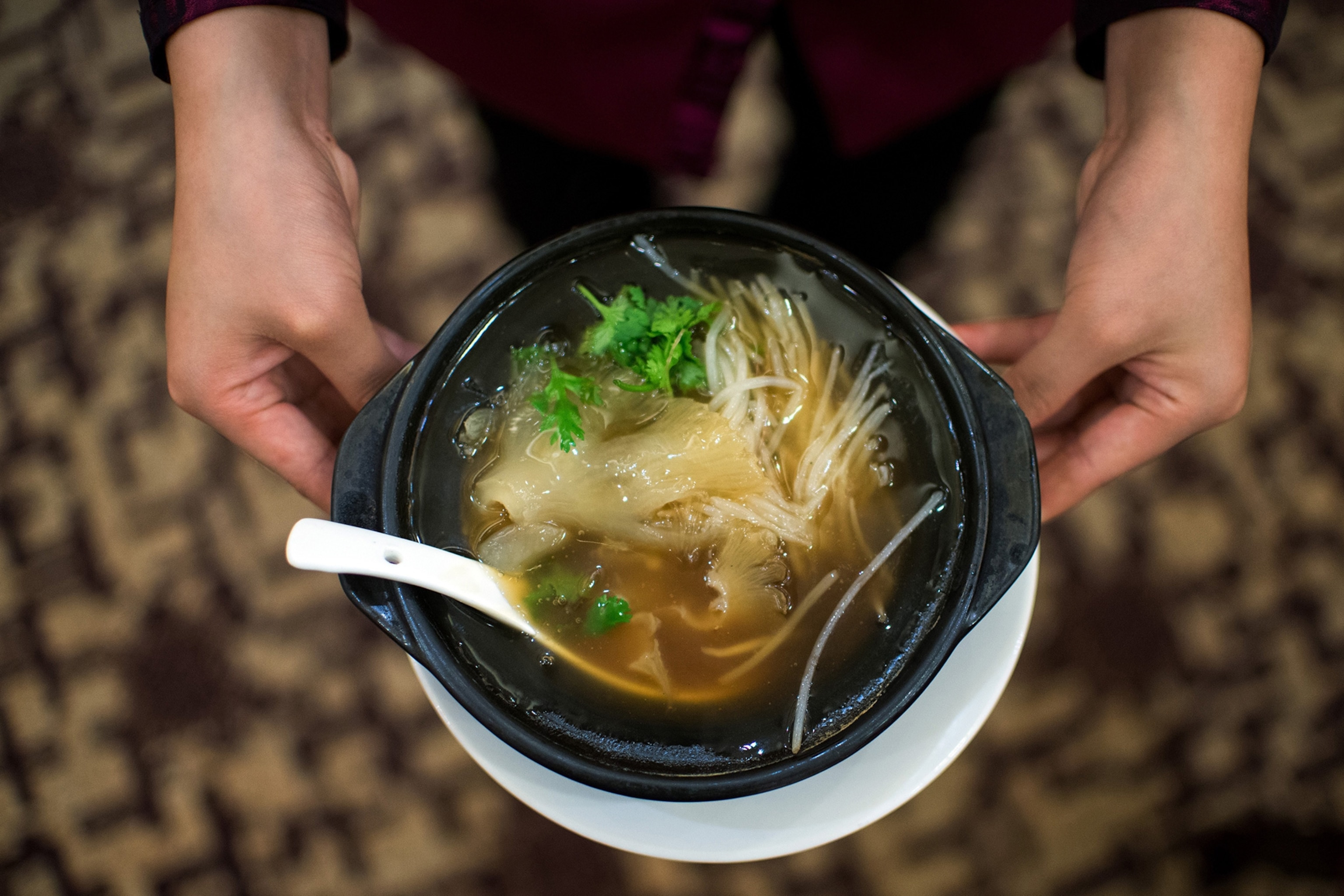 shark fin soup
