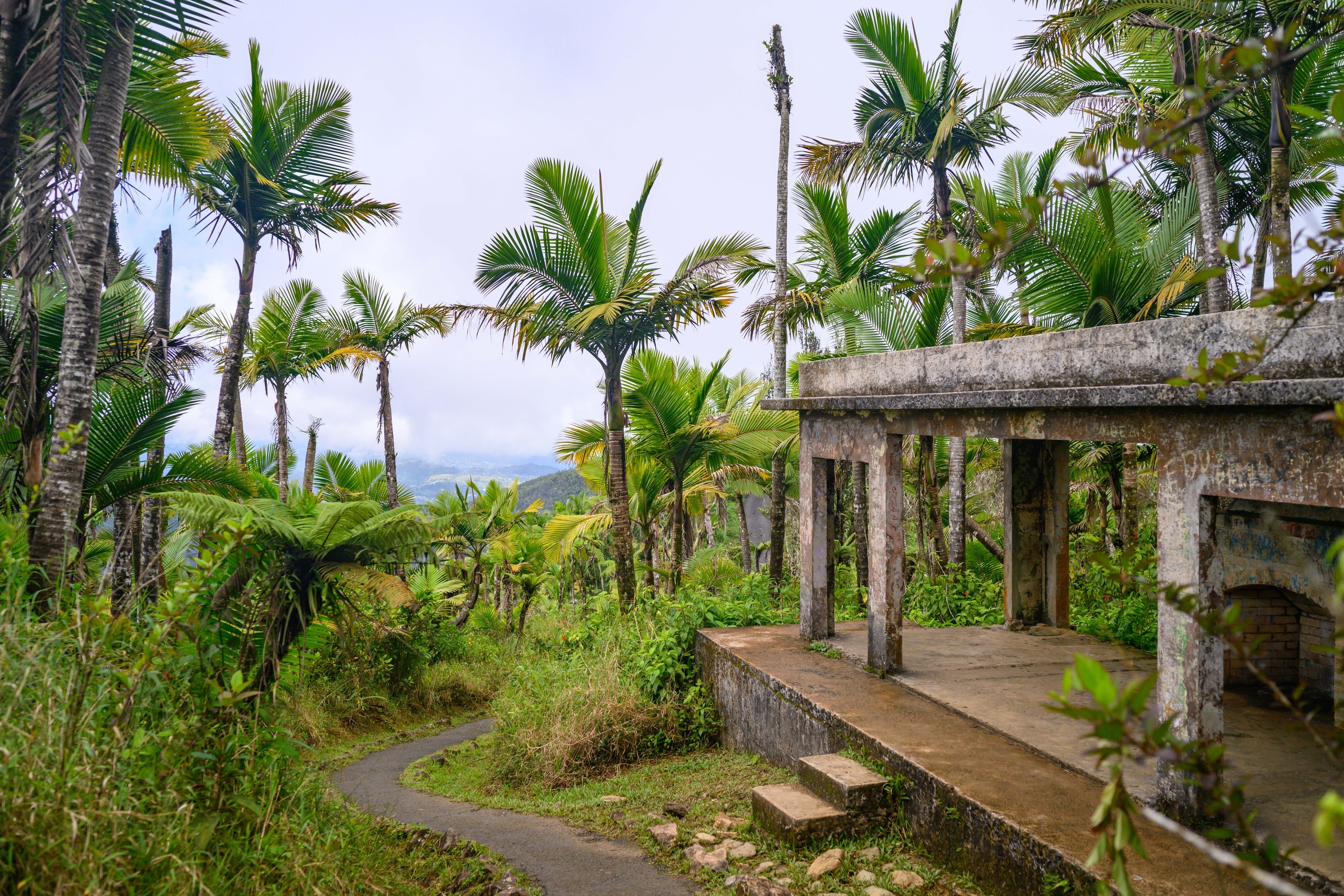 Ruins along a trail in El Yunque National Forest