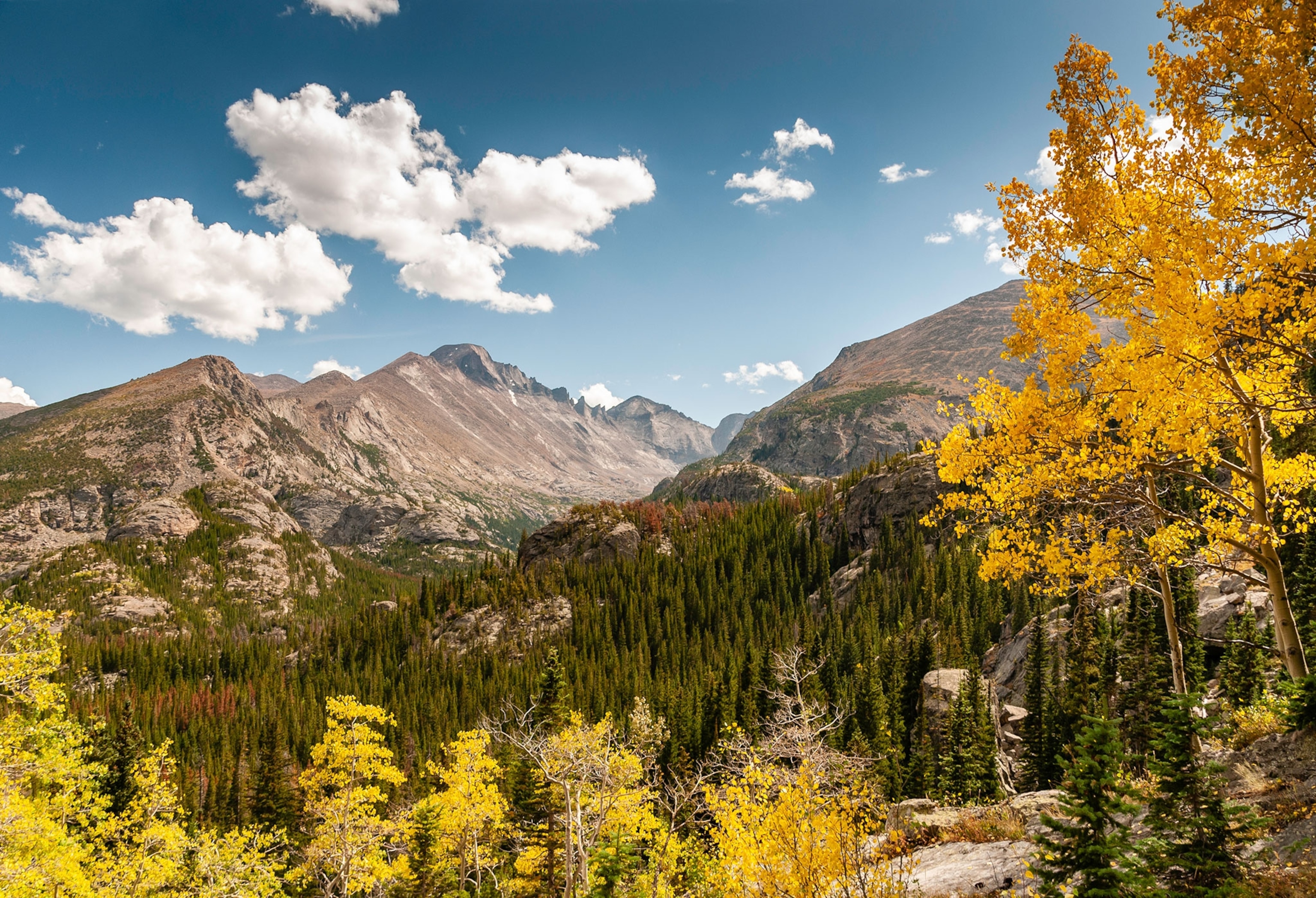 Landscape of trees with fall yellow leaves and mountain in back with cloudy blue sky.