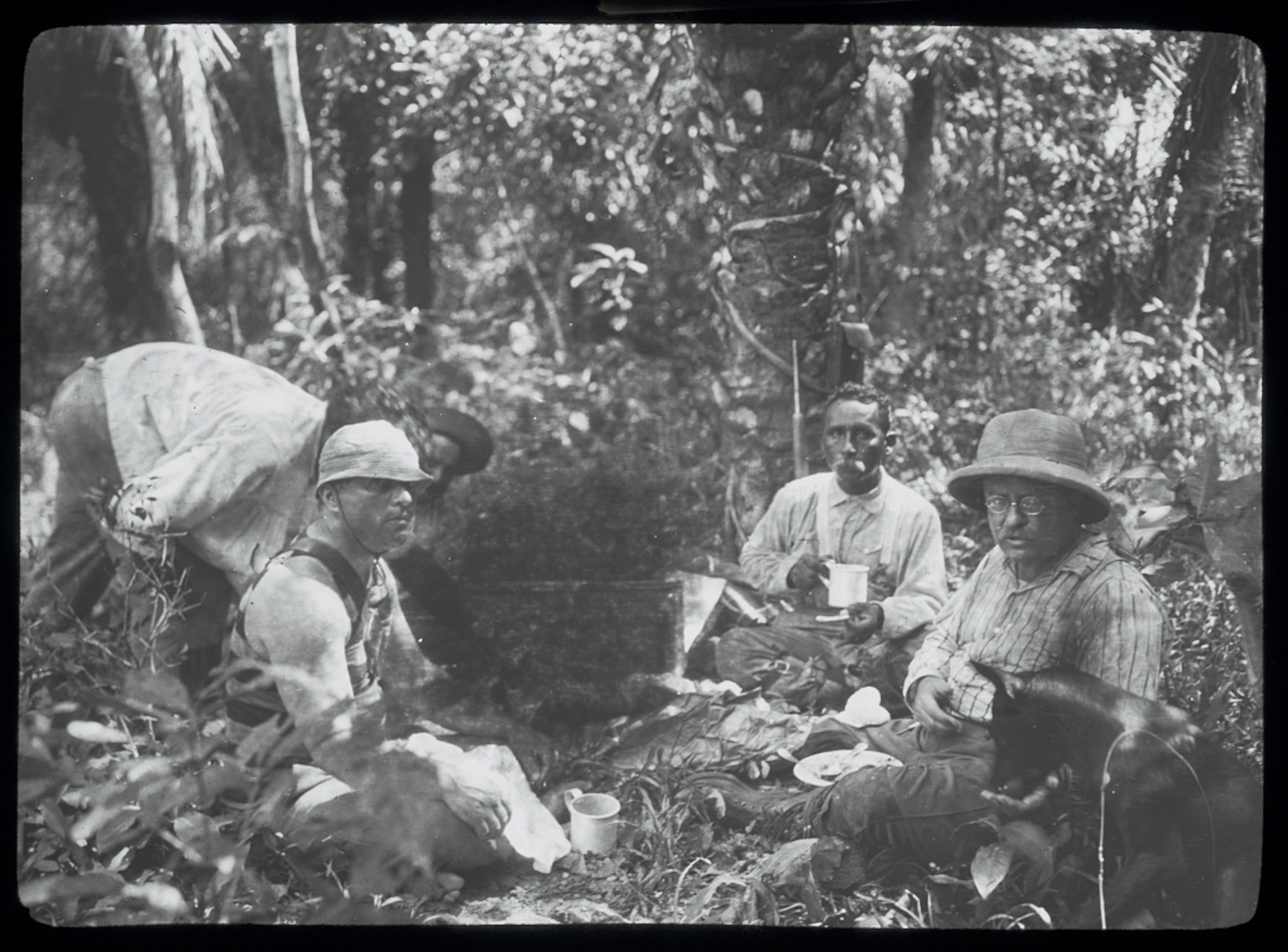 People sitting in a jungle