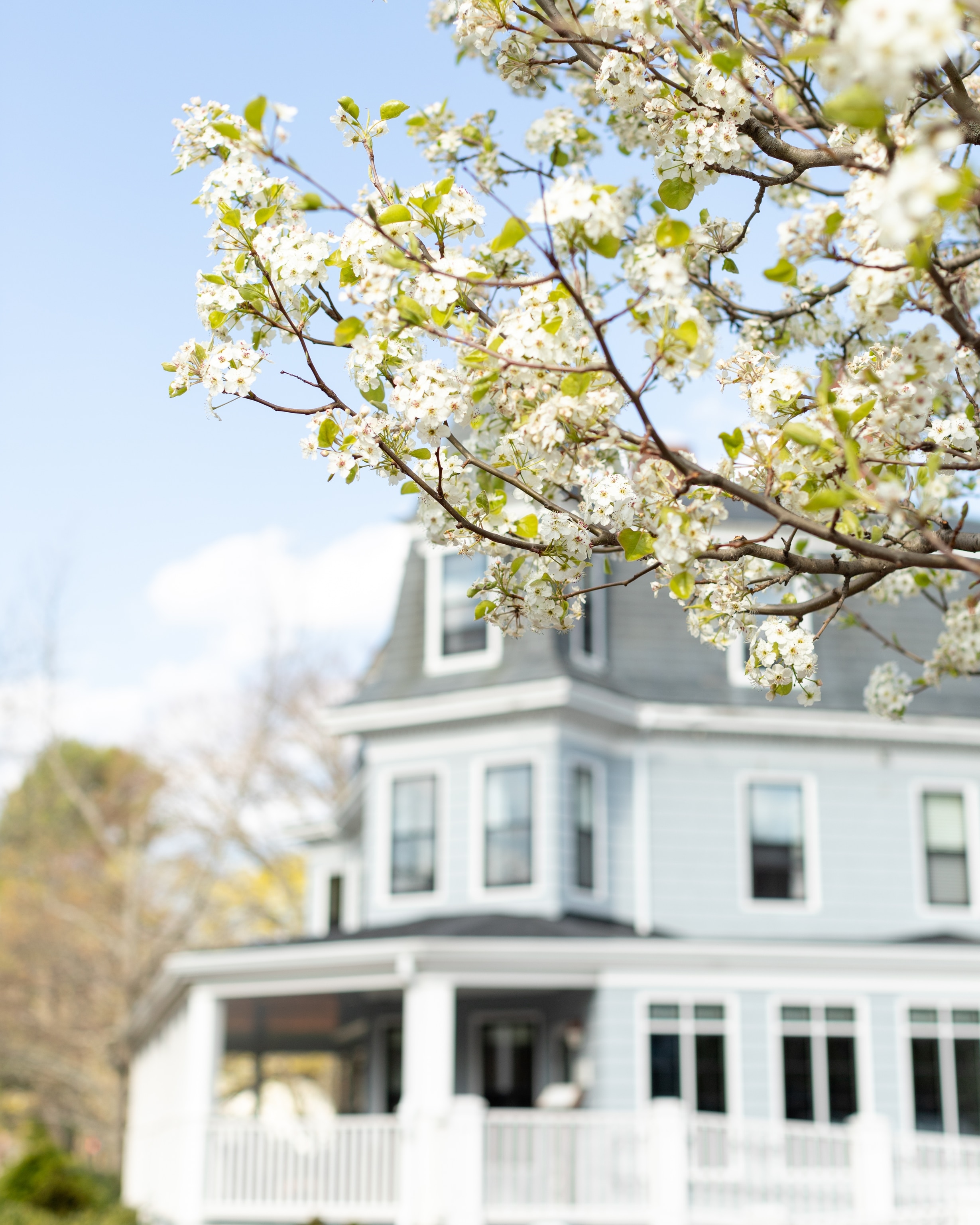 Exterior of The Inn at Hastings Park in historic Lexington, MA, with spring blossoms.