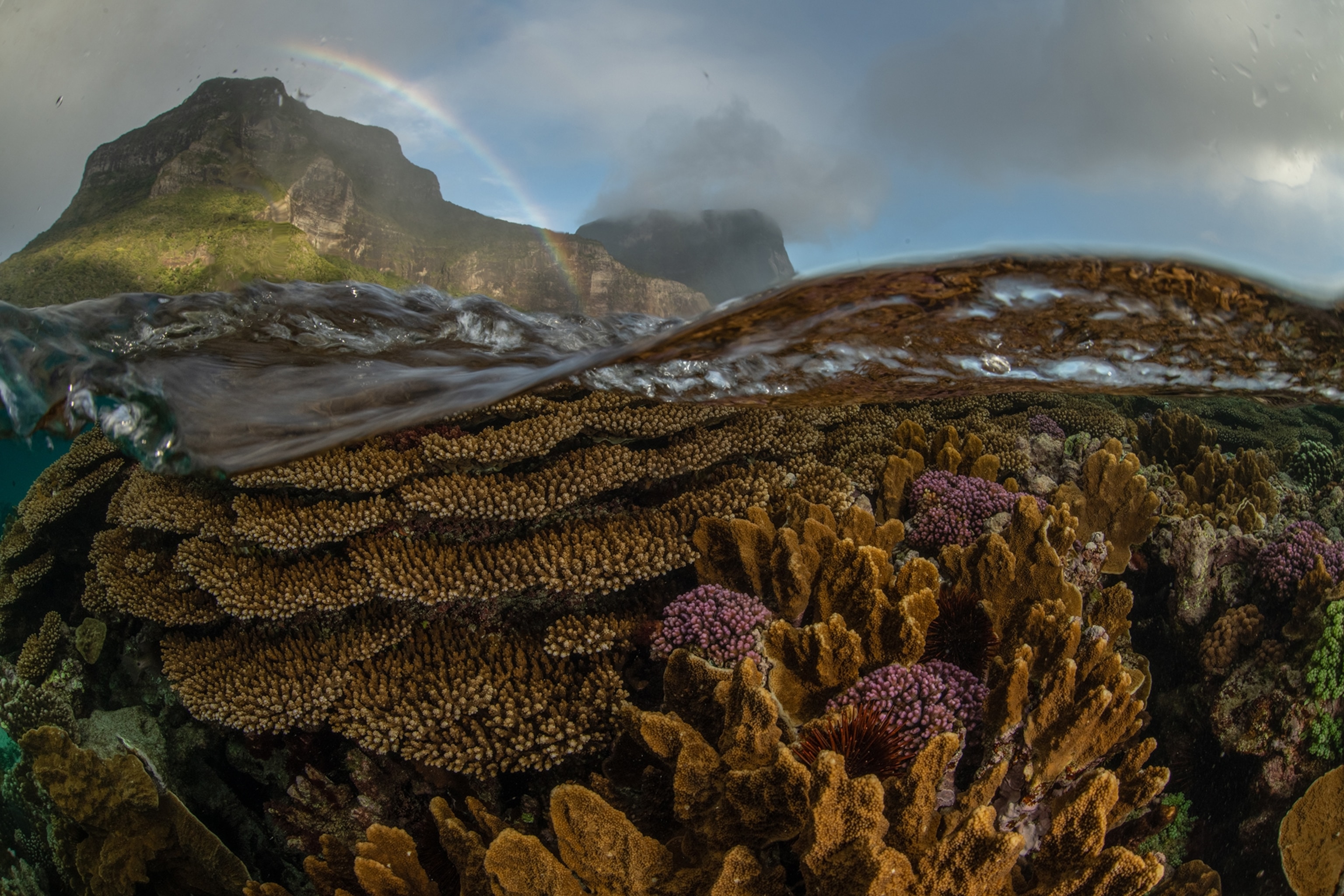 A split view of The Lord Howe Island with a rainbow stretching over the mountains and corals underwater in the lagoon.