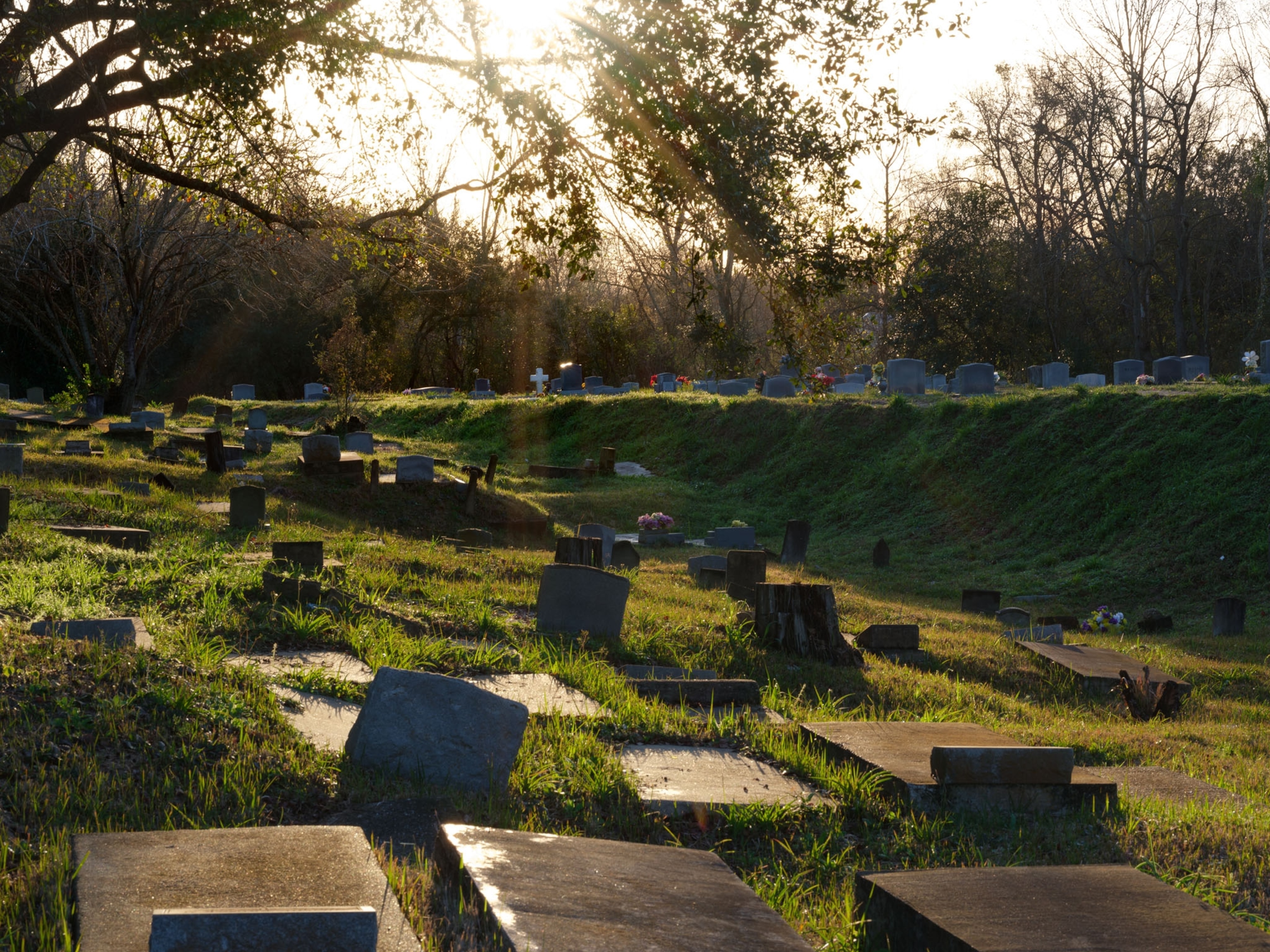 a cemetery with green grass