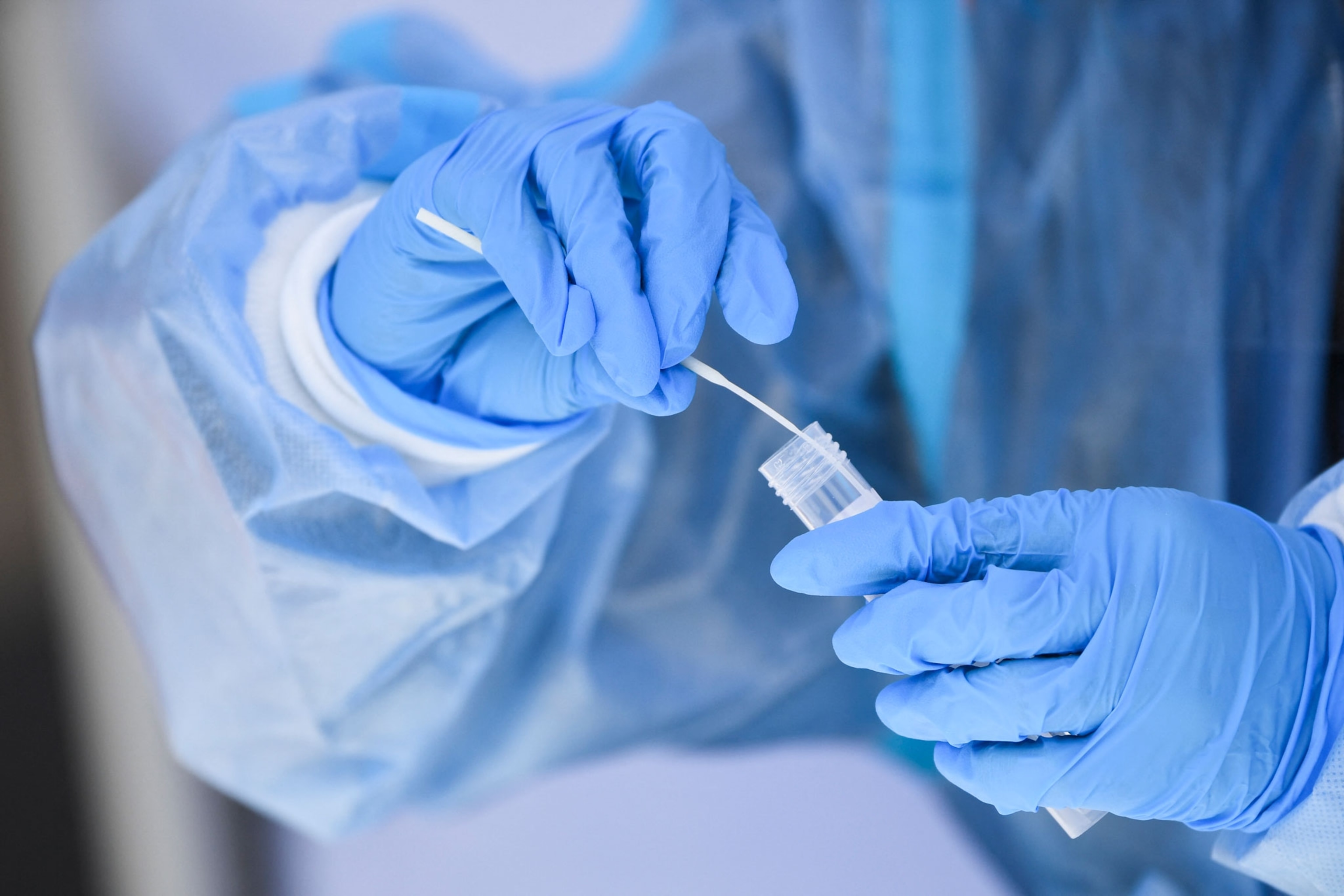 Hands in blue gloves process a COVID test.