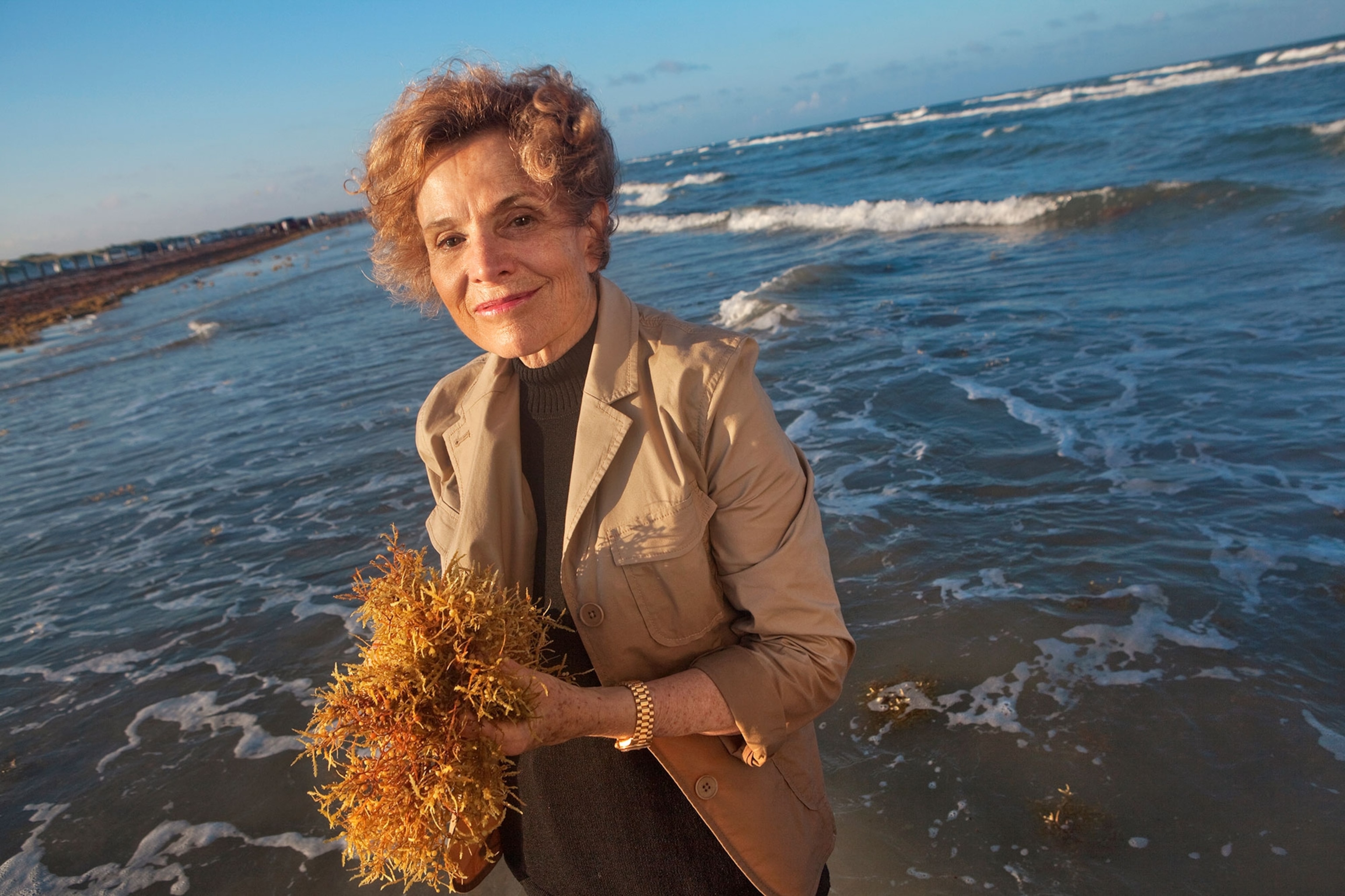 Sylvia Earle, National Geographic Explorer