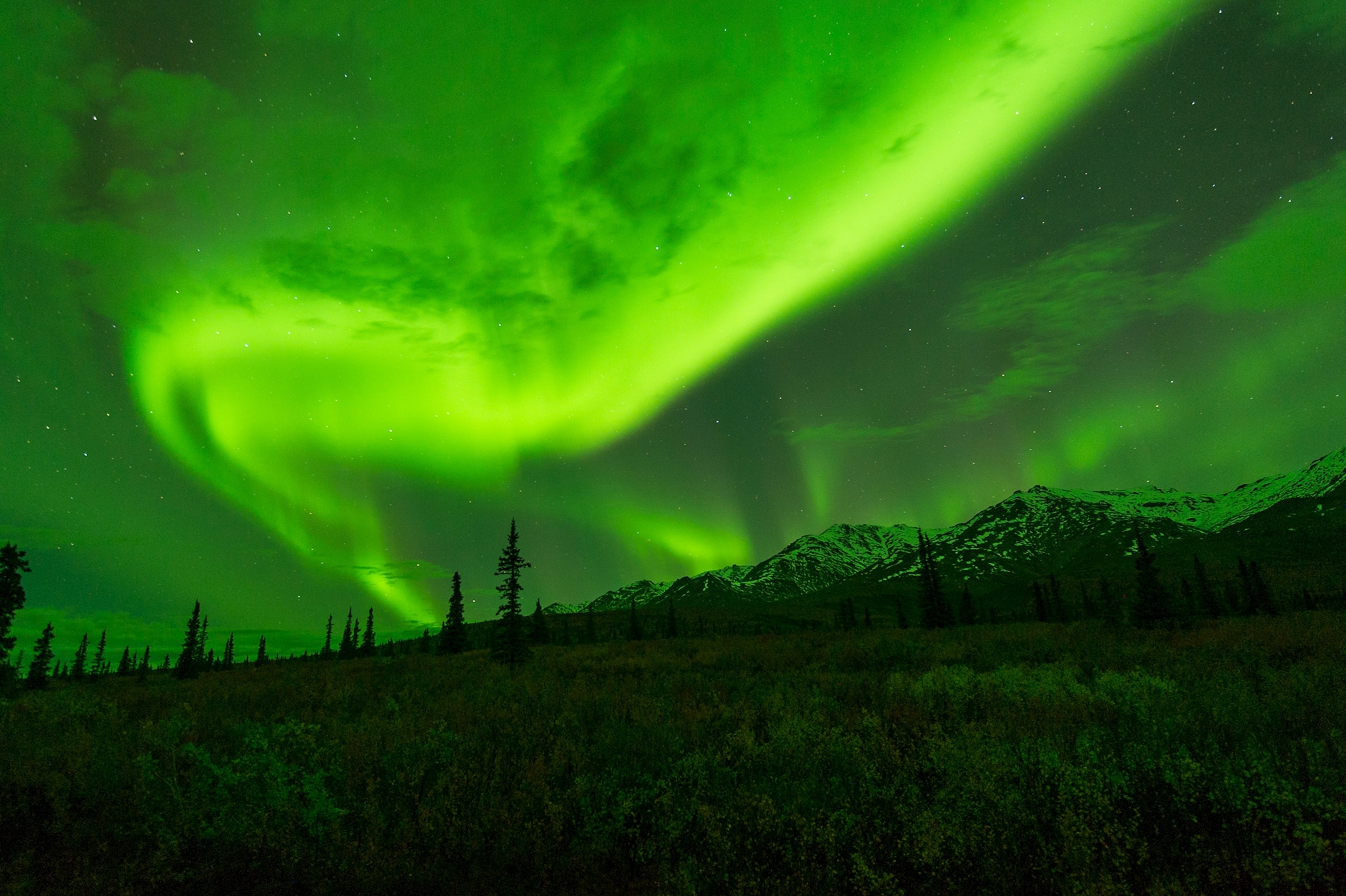 The northern lights in green swirl over the mountains at Denali National Park.