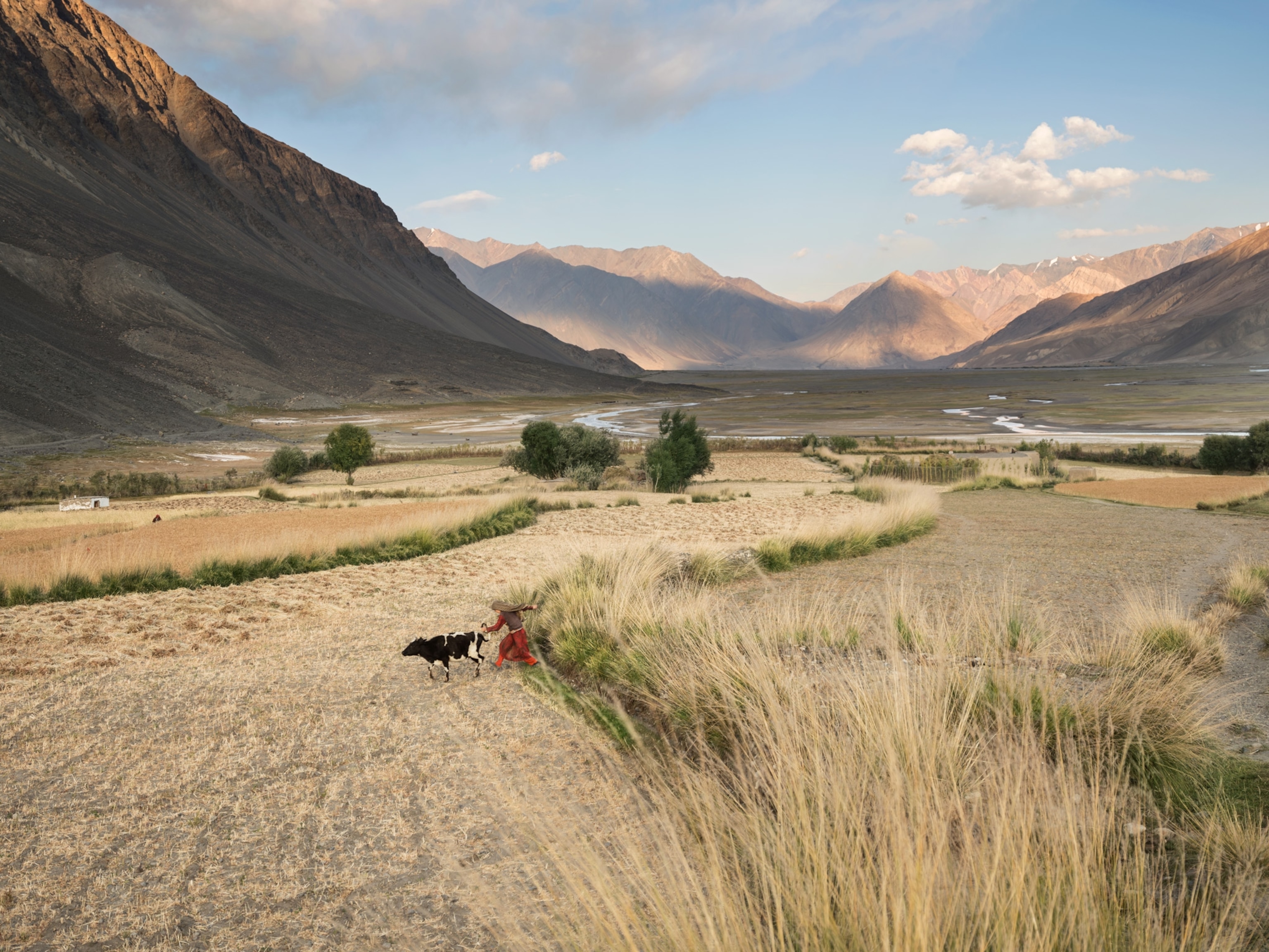 Photo of girl running through grass in front of mountains