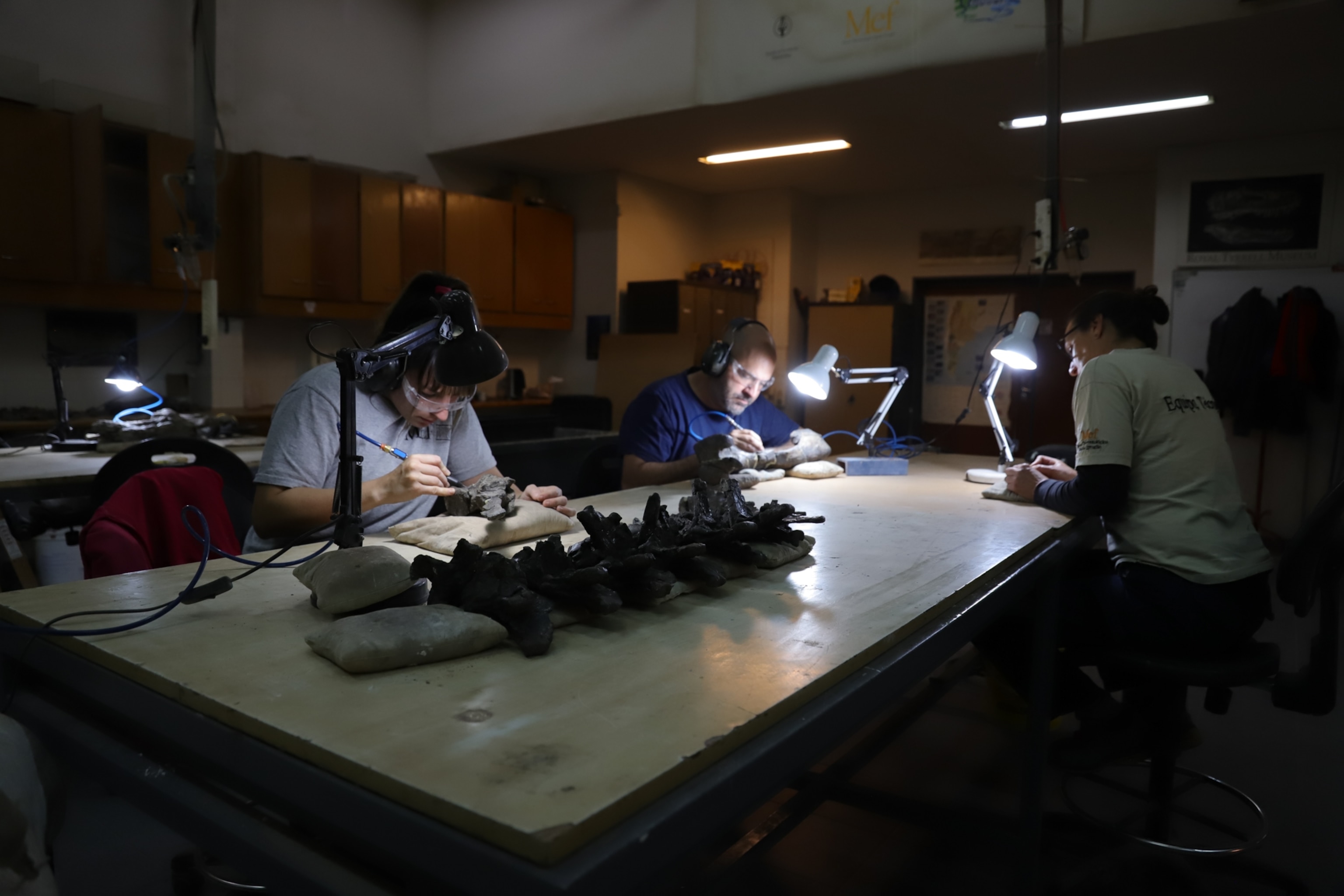 Three technicians at a table, each with a desk lamp shining down on pieces of Koleken fossils as they clean and prepare the pieces.