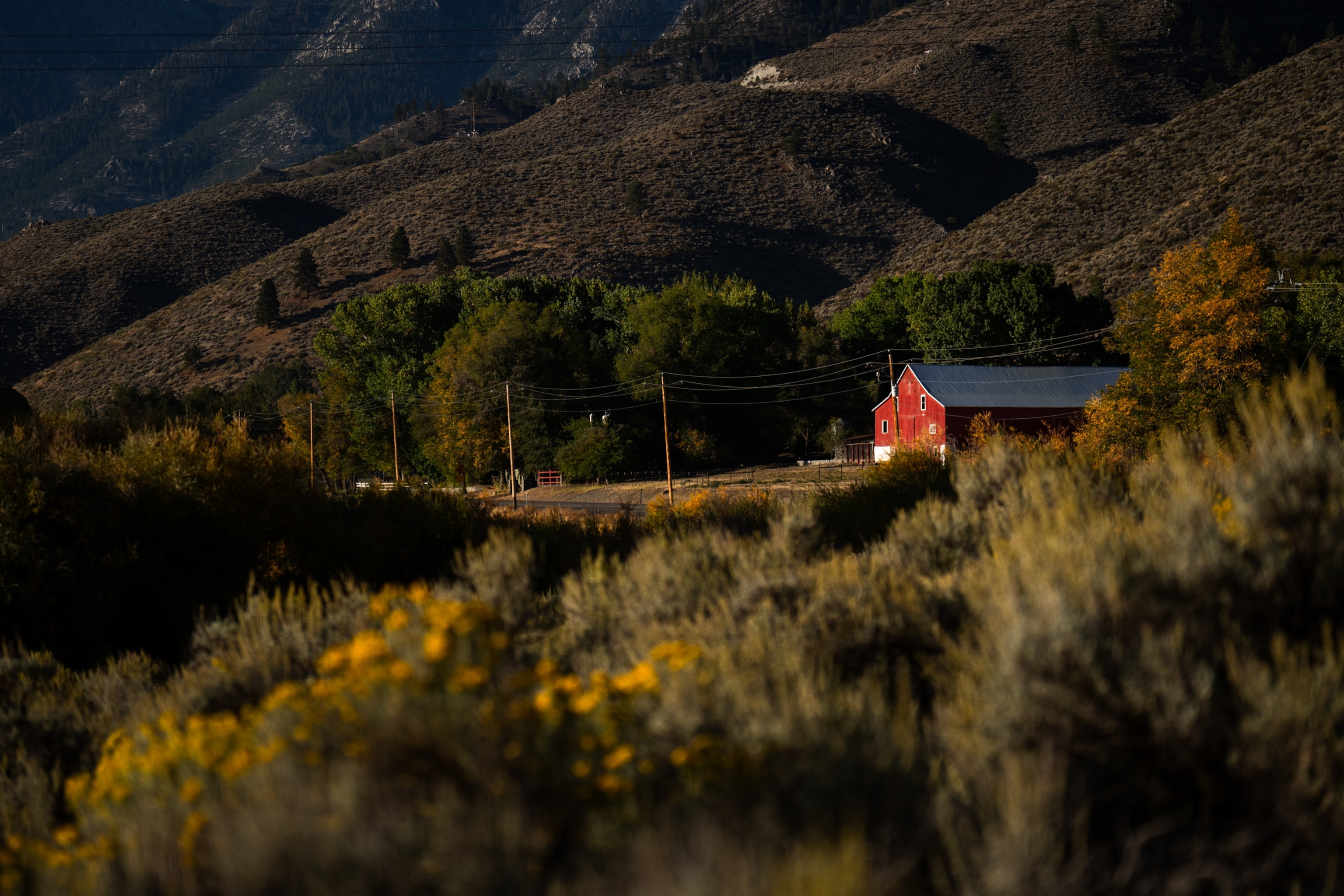 Travel Nevada